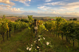 Walking Tour of Umbria