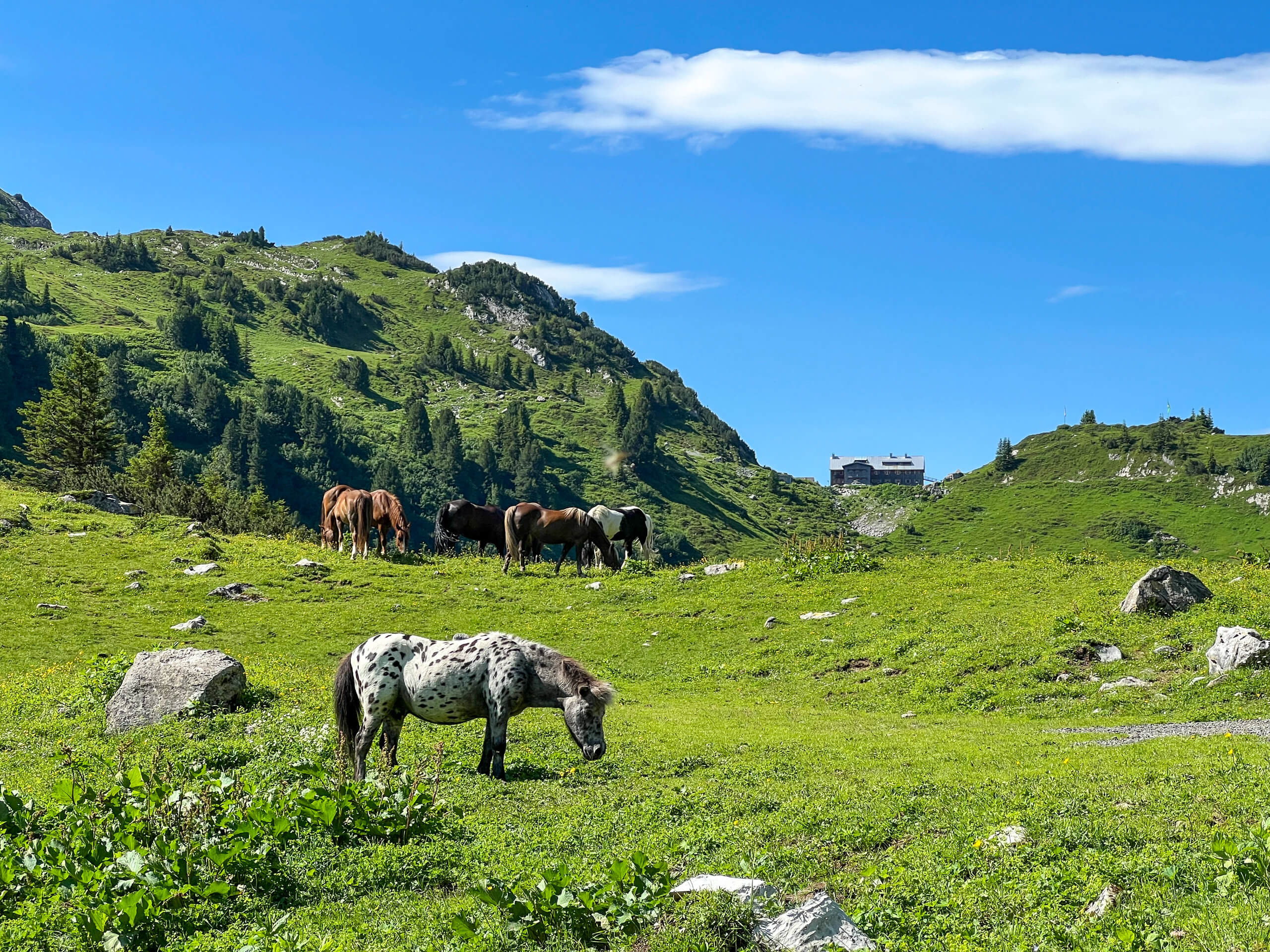 Allgäu and Lechtal Alps Trek-1