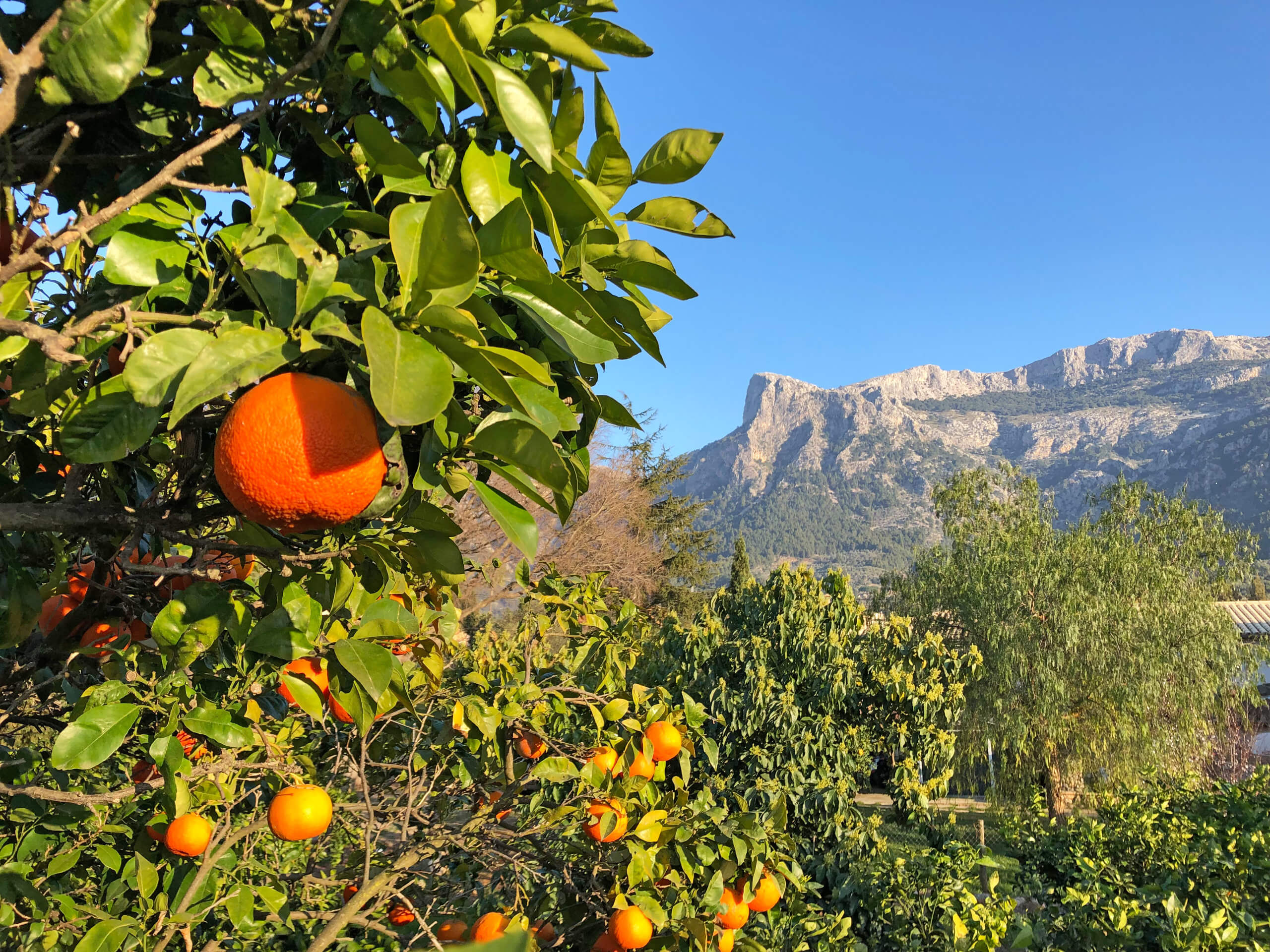 Cycling Around Majorca-20