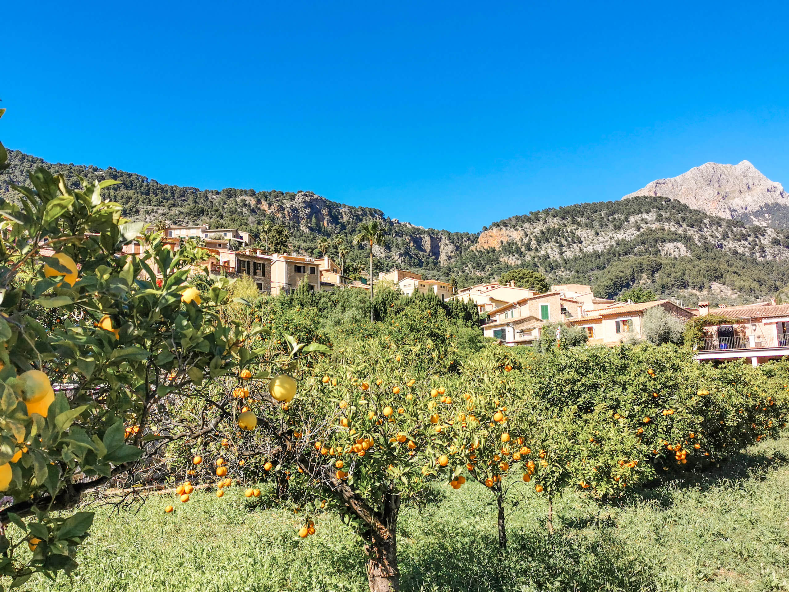 Cycling Around Majorca-4