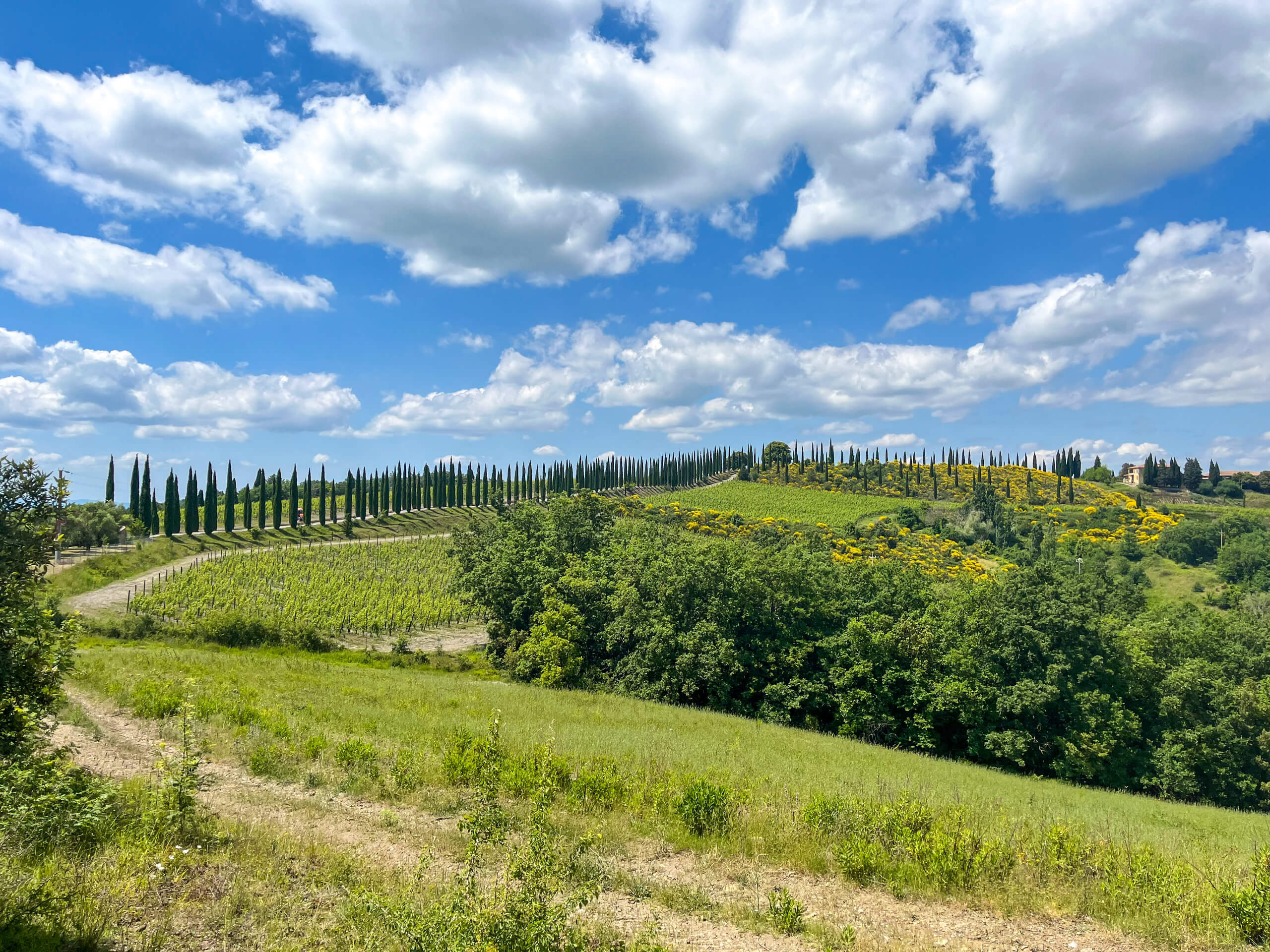 Scenic Tuscany Cycling in Charming Hotels-10