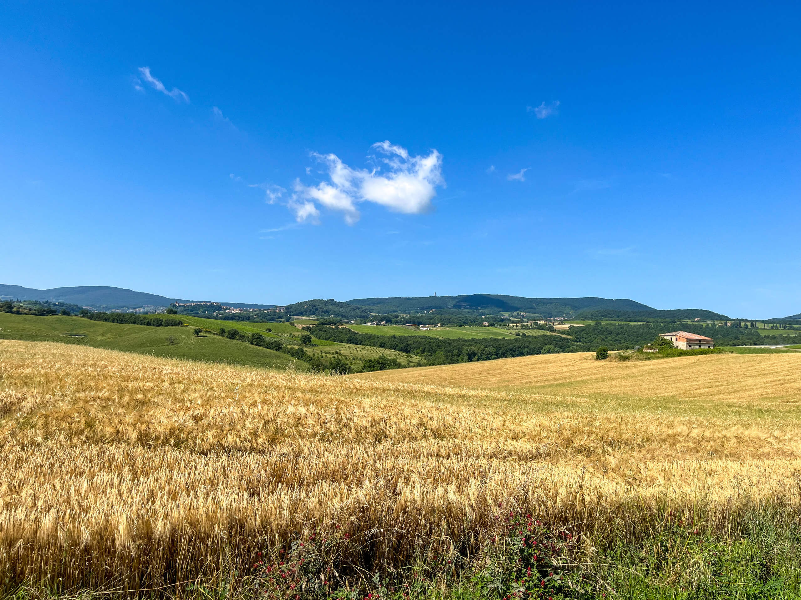 Scenic Tuscany Cycling in Charming Hotels-12