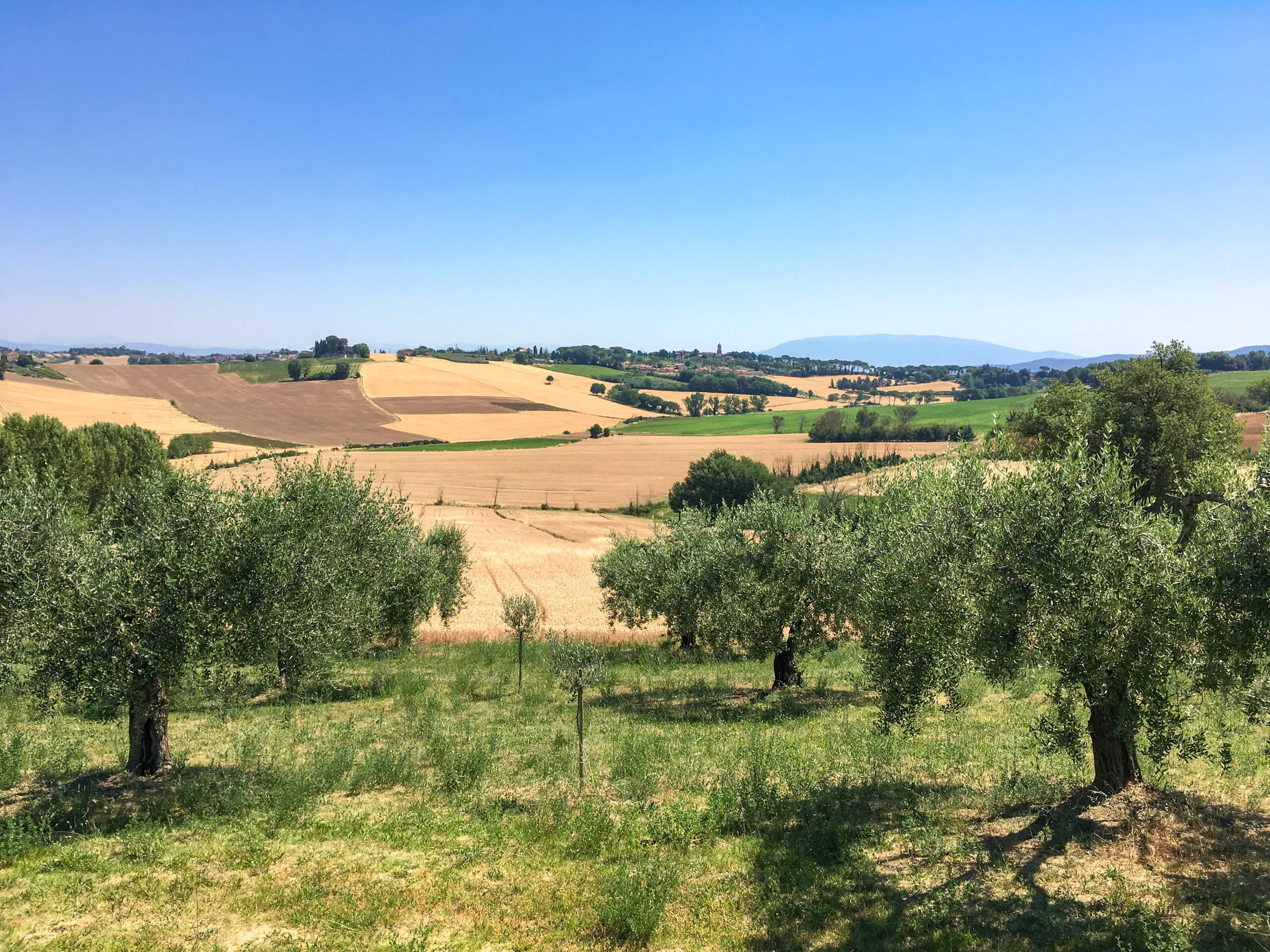 Scenic Tuscany Cycling in Charming Hotels-16