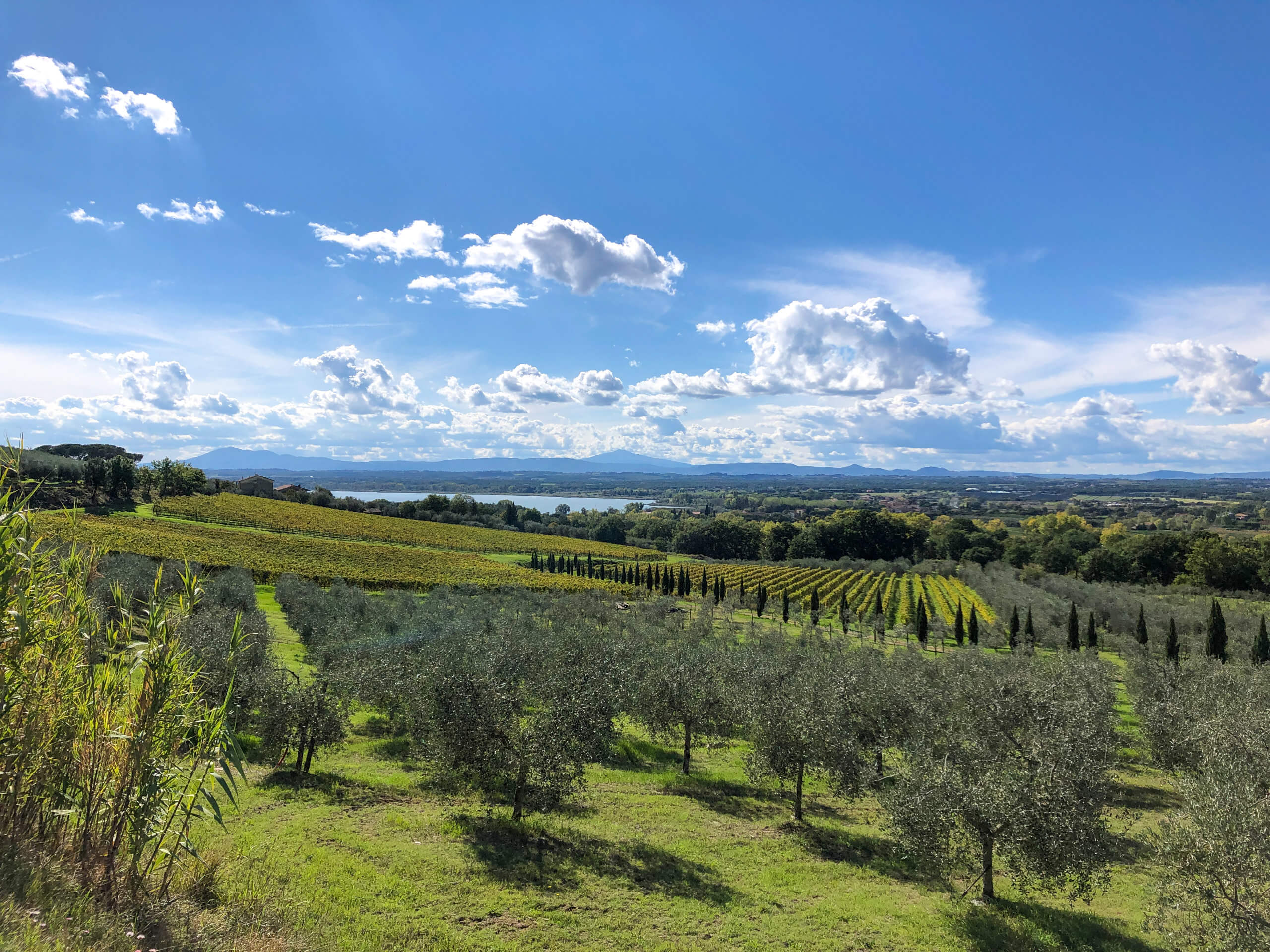 Scenic Tuscany Cycling in Charming Hotels-20