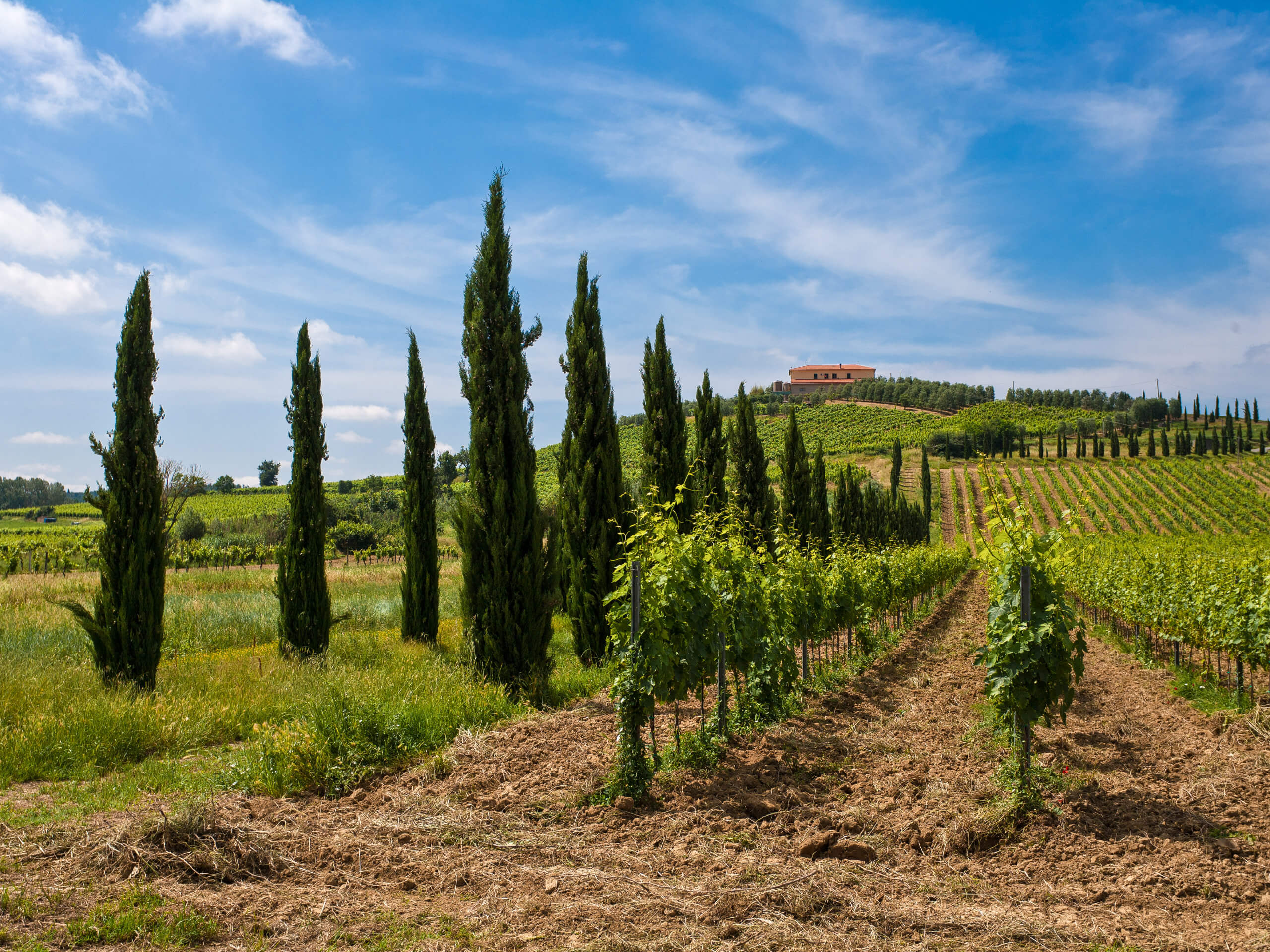 Scenic Tuscany Cycling in Charming Hotels-5