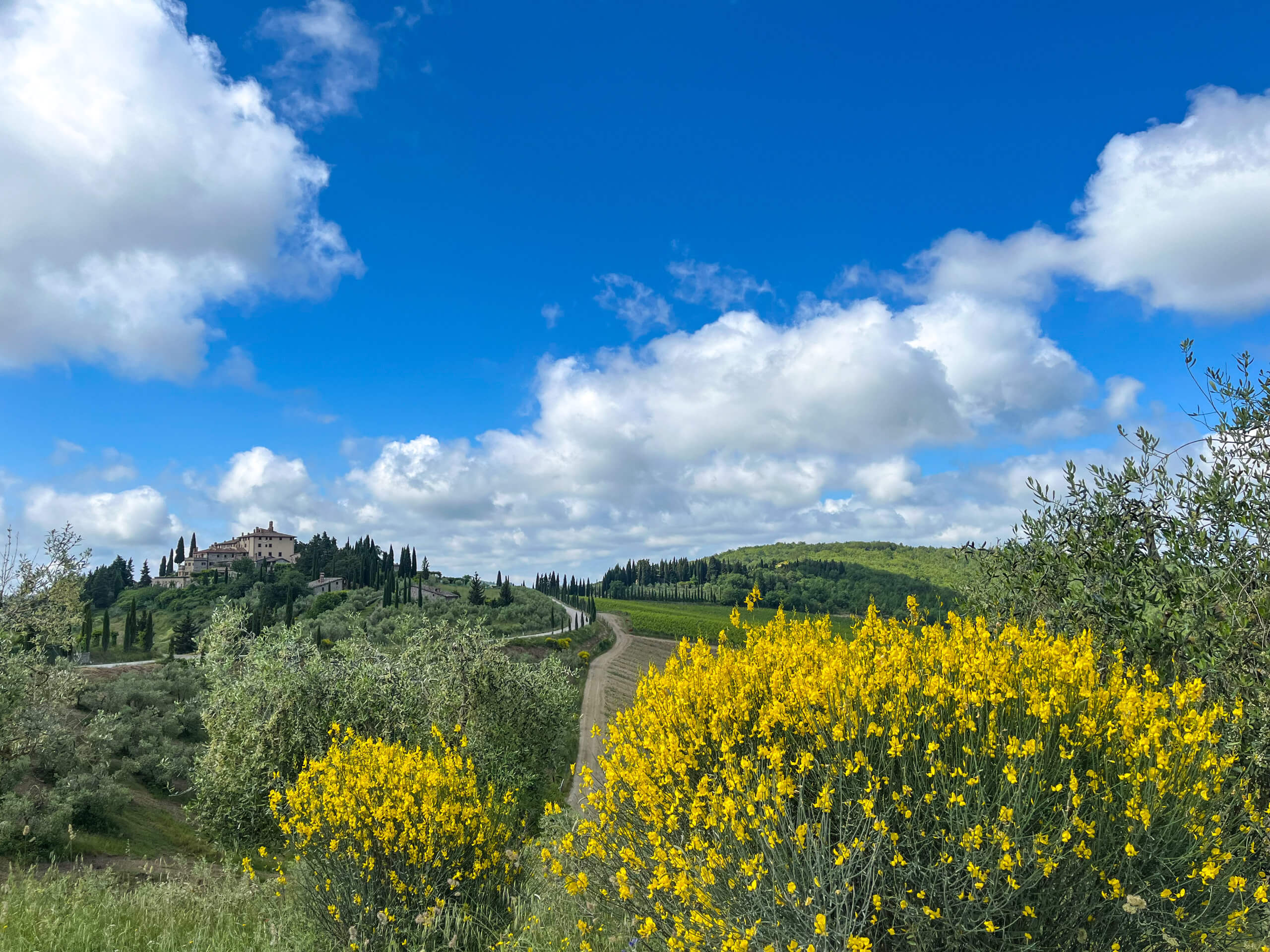 Scenic Tuscany Cycling in Charming Hotels-9