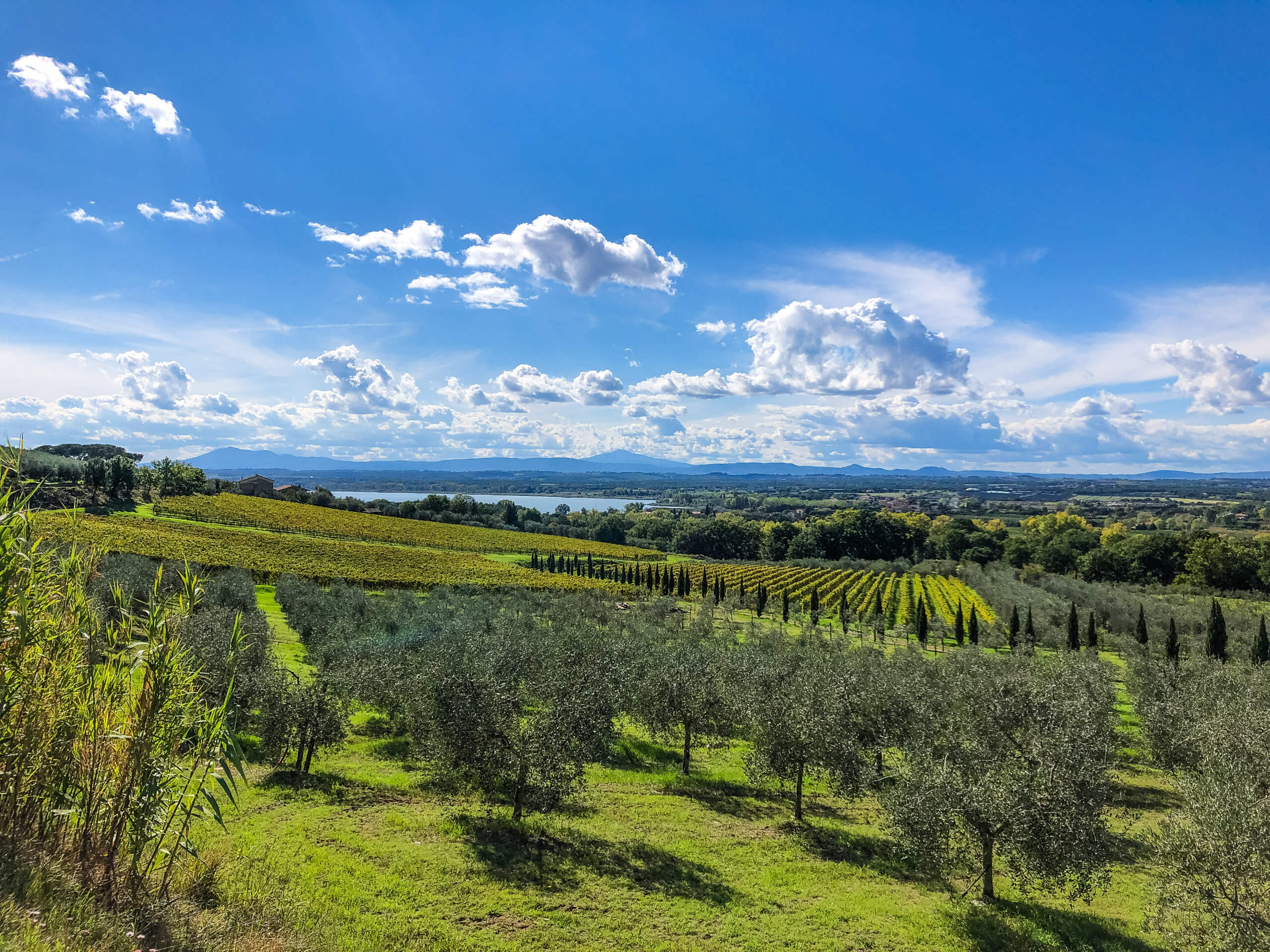 Walking Tour of Umbria-1