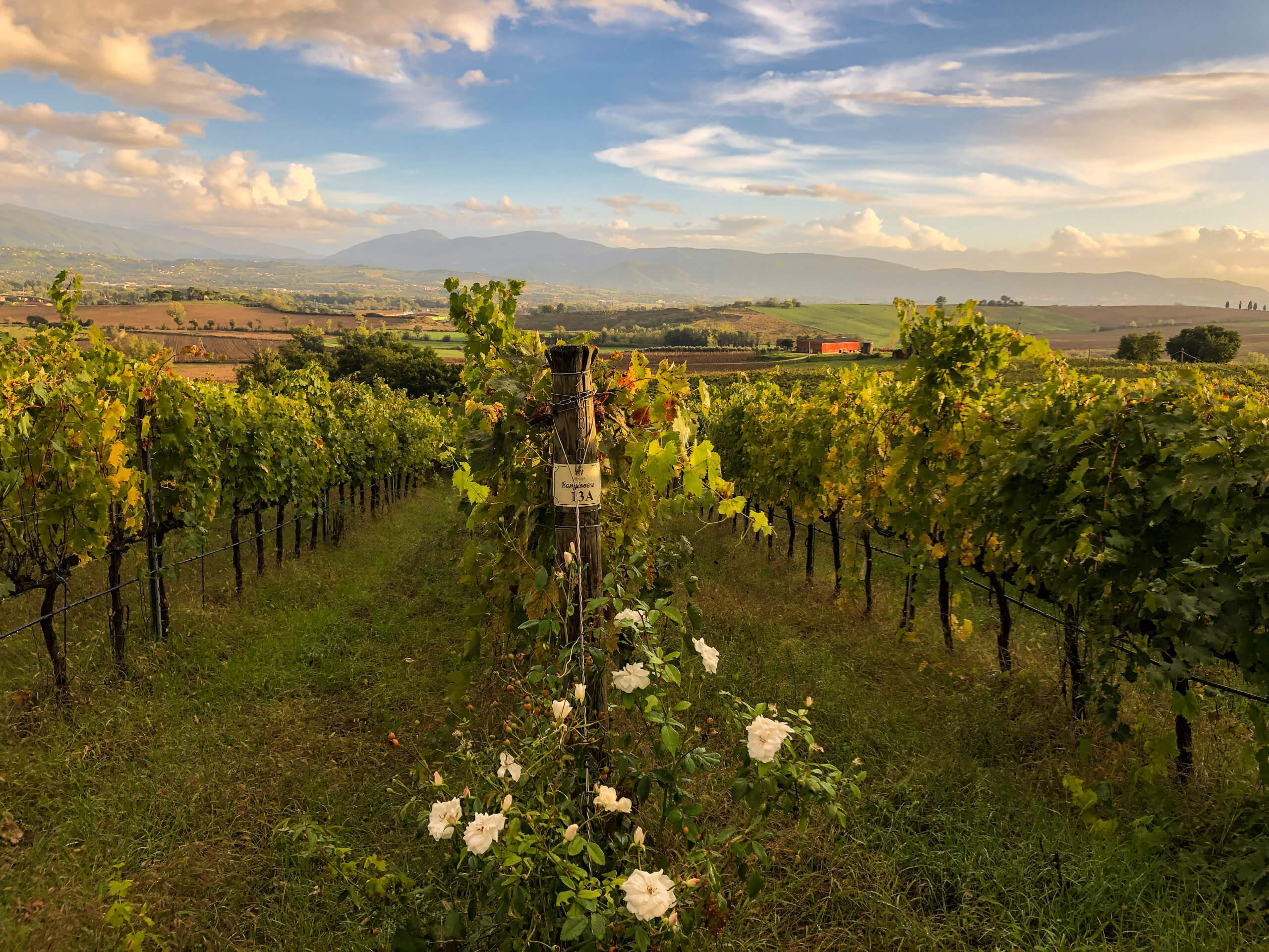 Walking Tour of Umbria-10