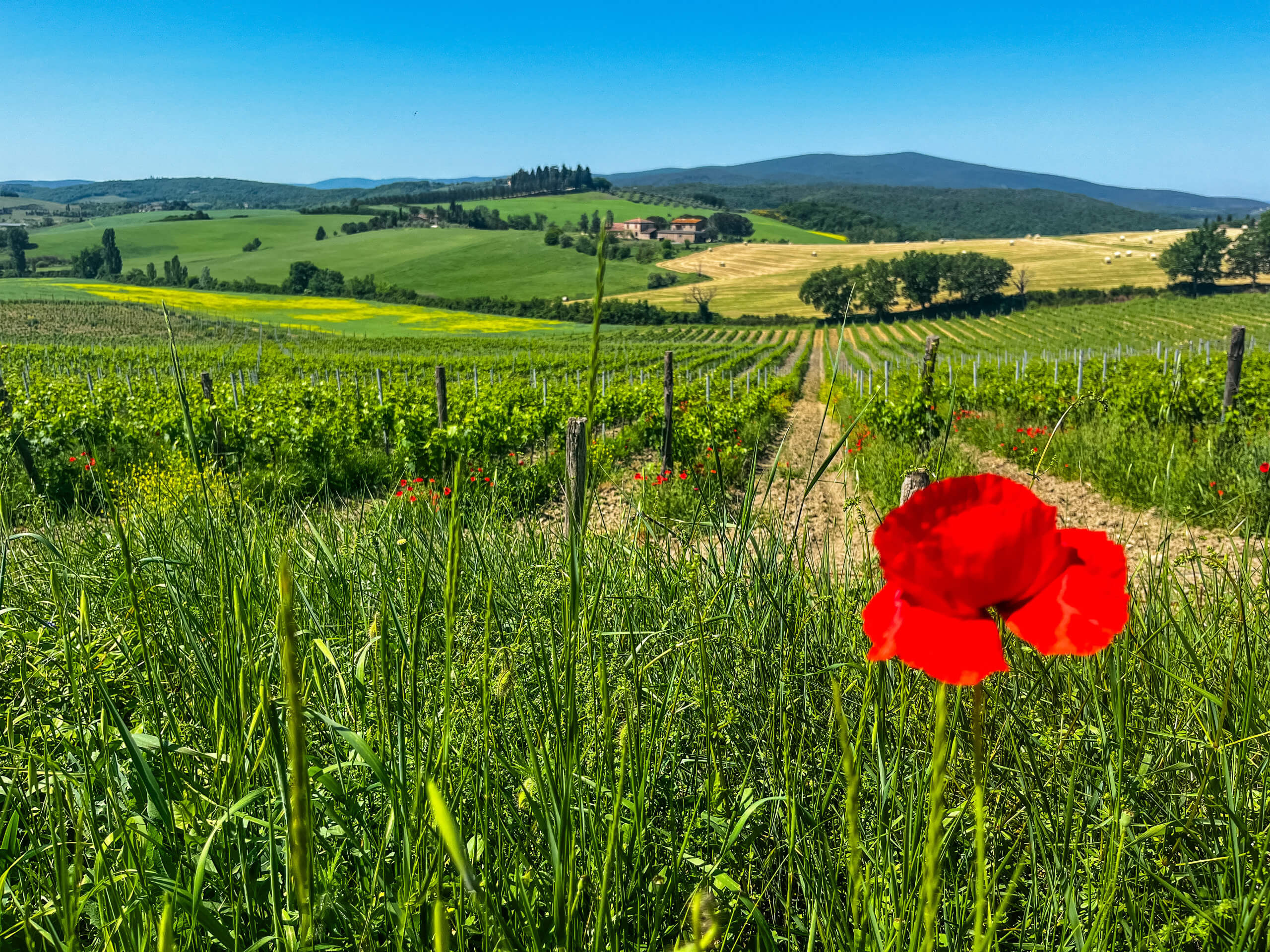 Walking Tour of Umbria-11