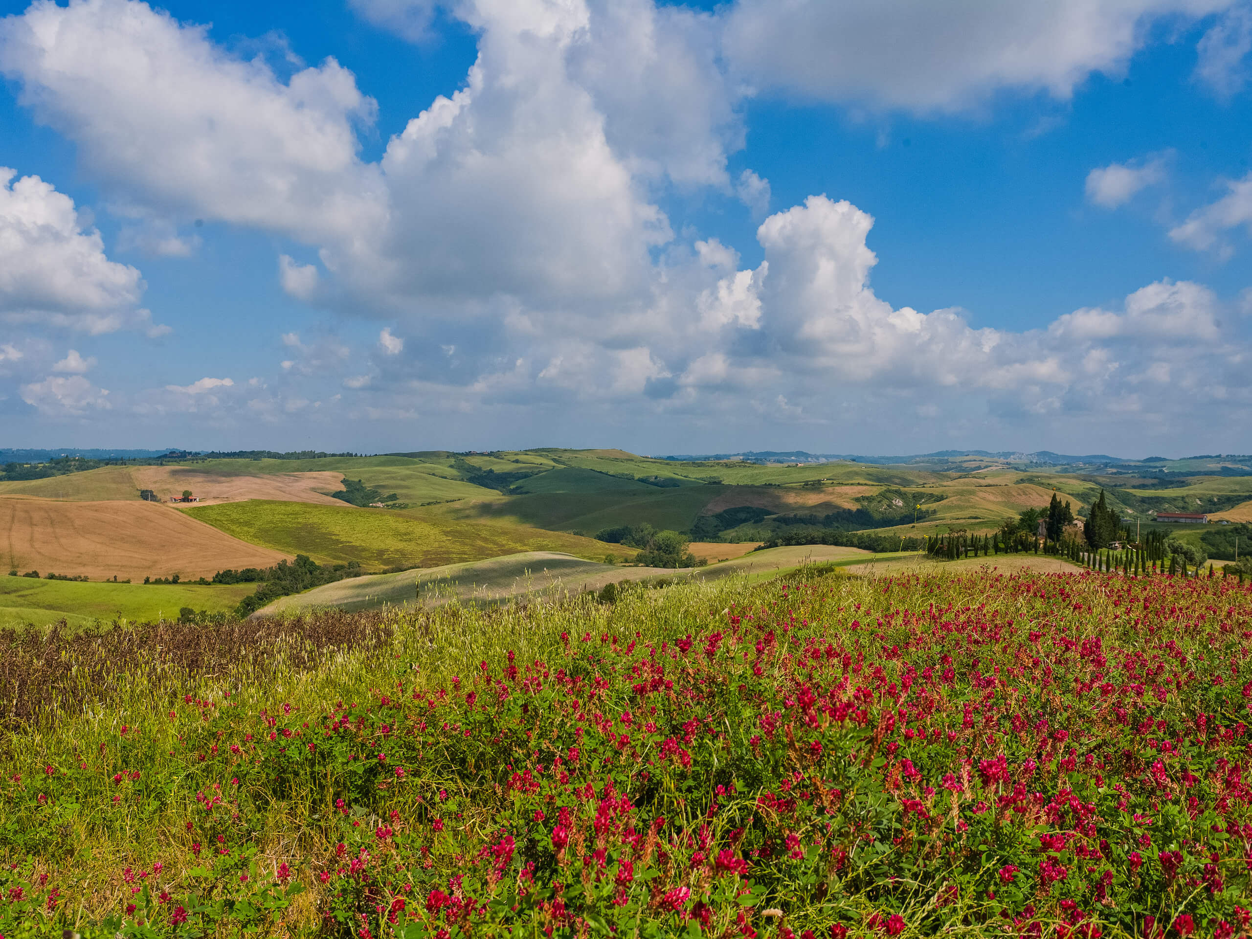 Walking Tour of Umbria-12