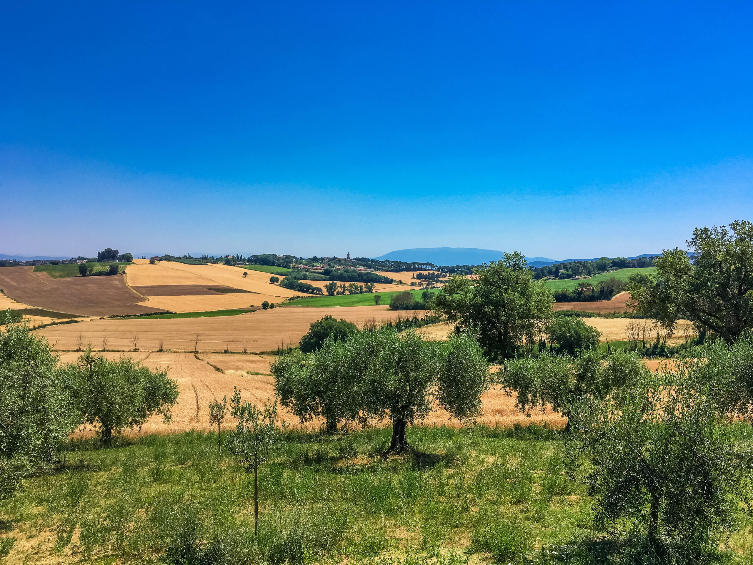 Walking Tour of Umbria-6