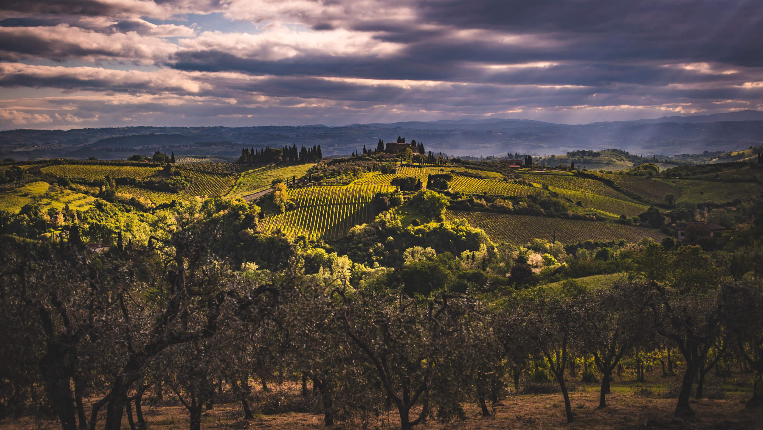 The Heart of Via Francigena