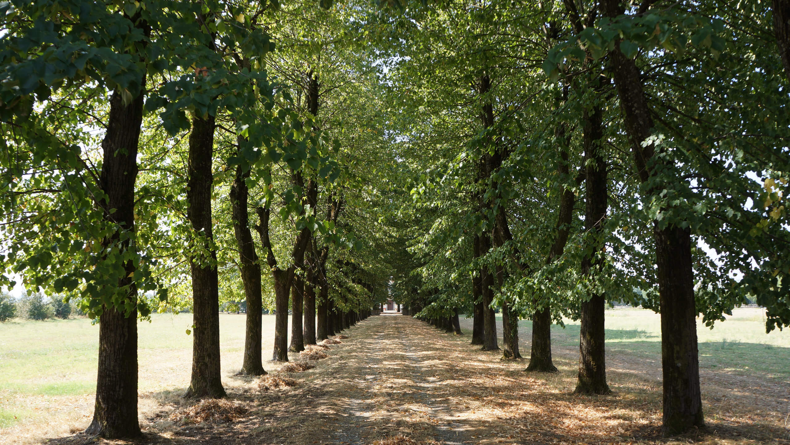 Via Francigena 3: Pavia to Fidenza