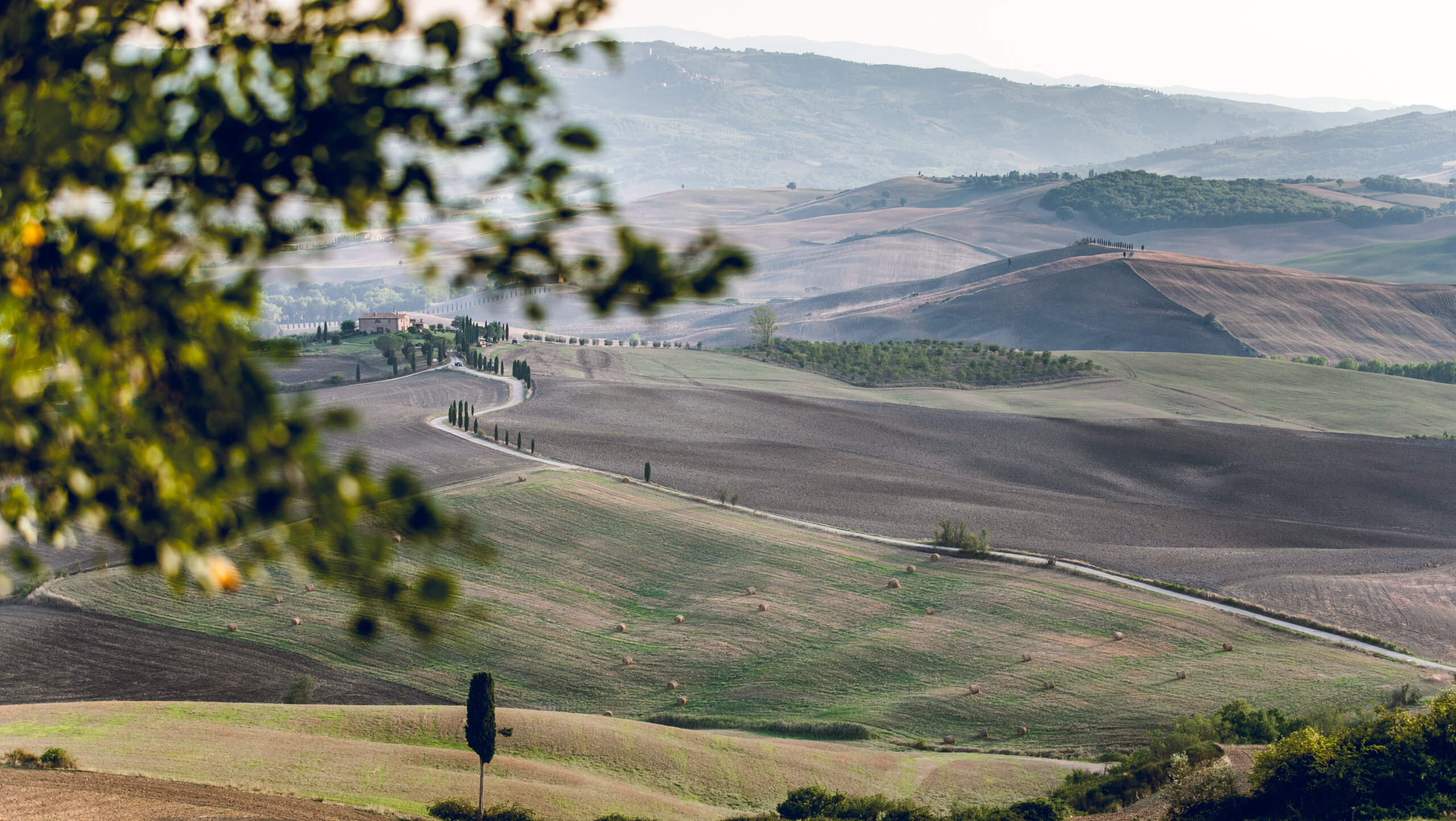 Via Francigena 7: Siena to Montefiascone