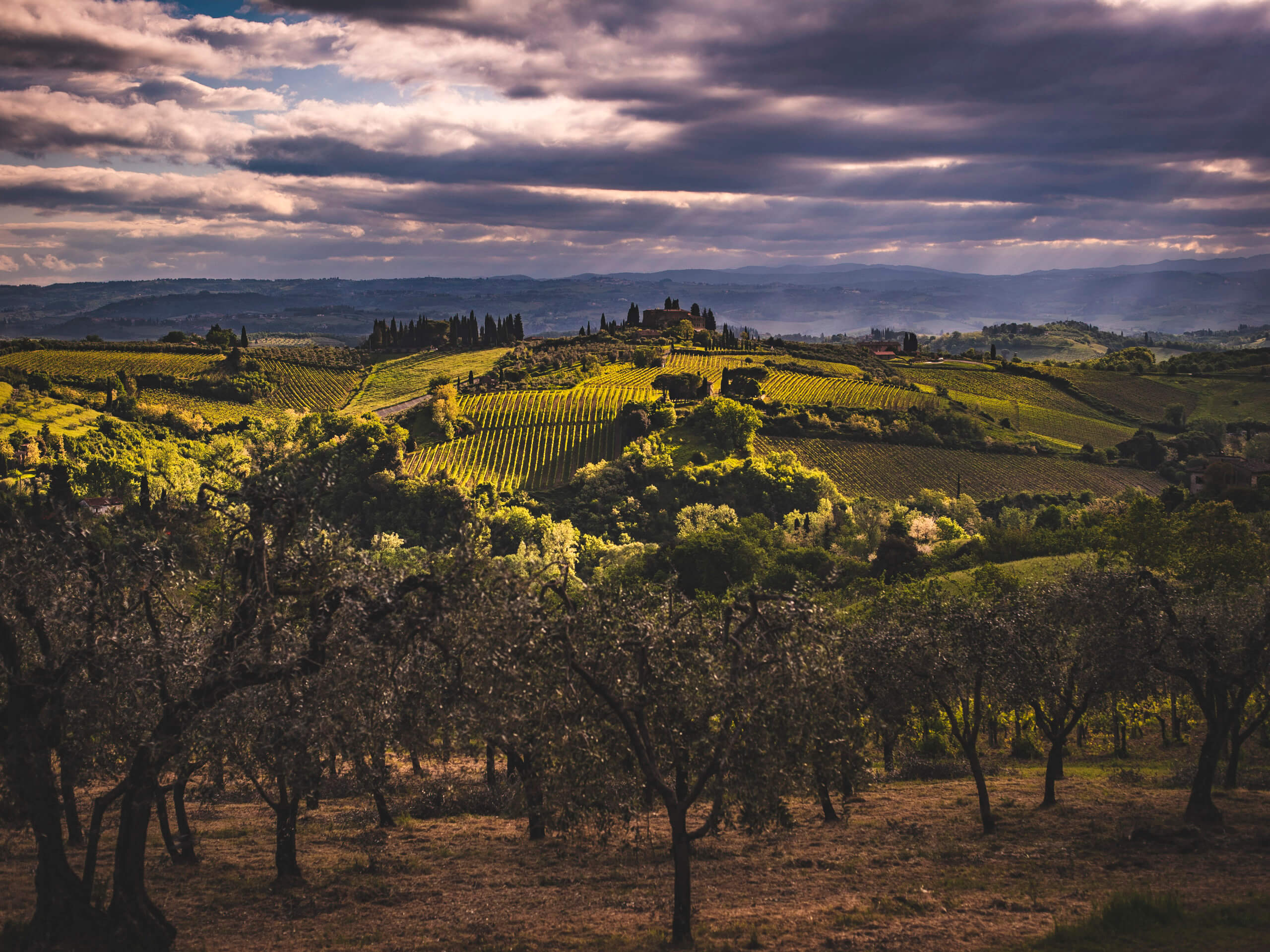 The Heart of Via Francigena-1