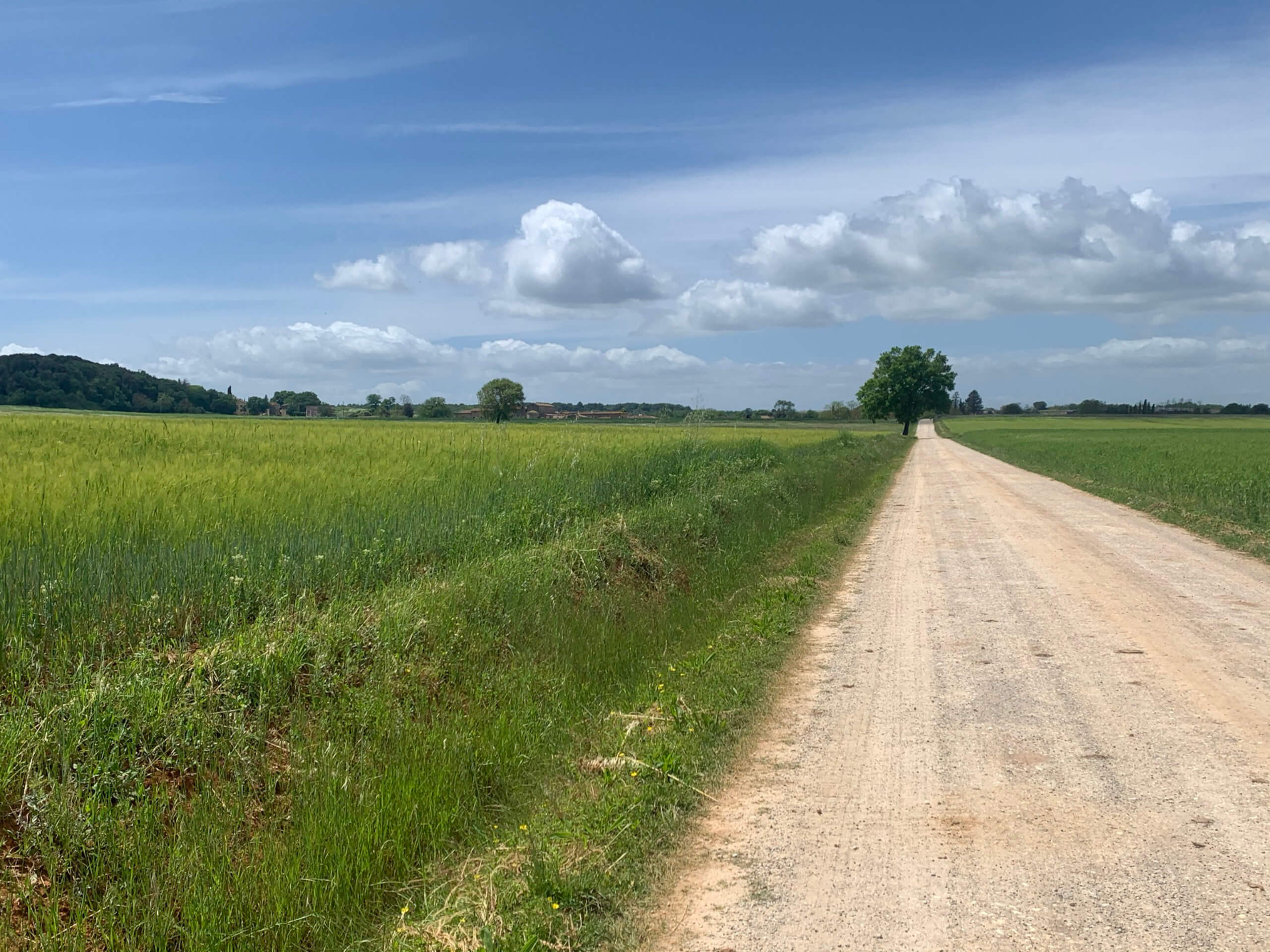 The Heart of Via Francigena-12