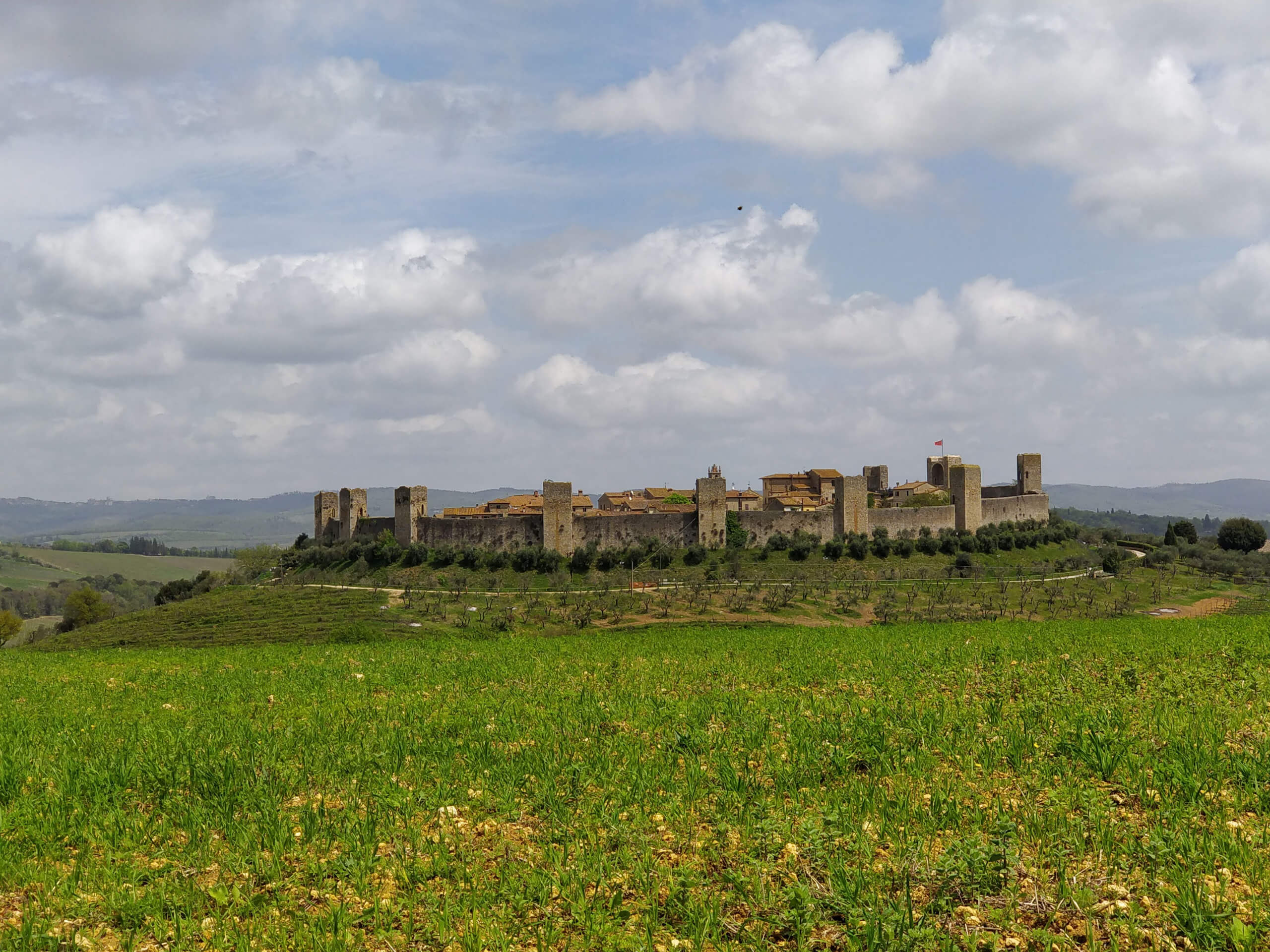 The Heart of Via Francigena-13