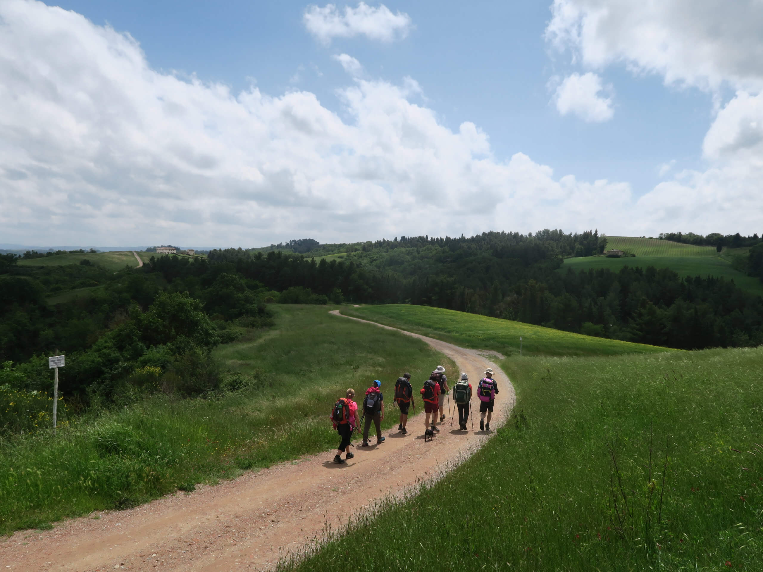 The Heart of Via Francigena-14