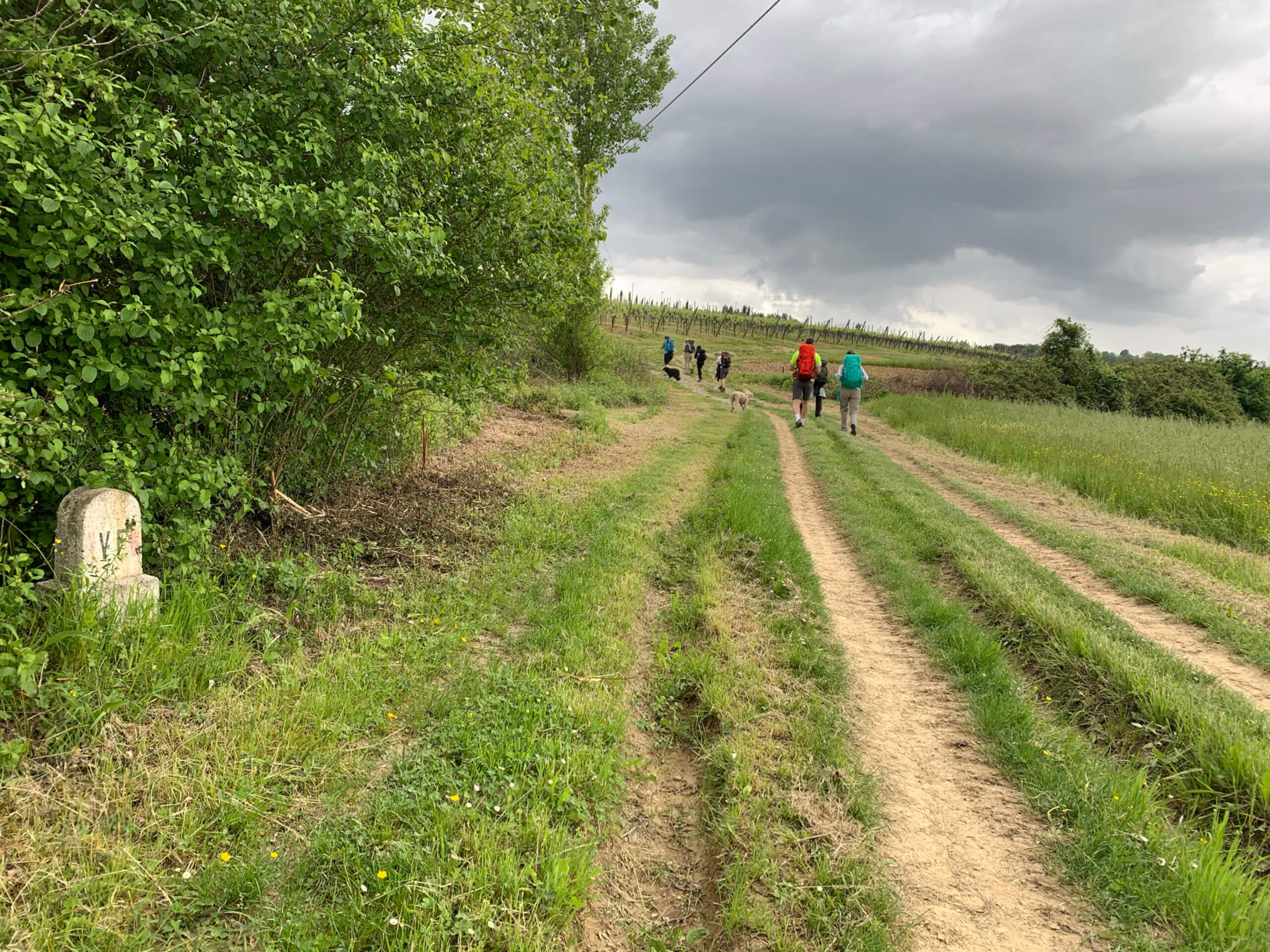 The Heart of Via Francigena-15