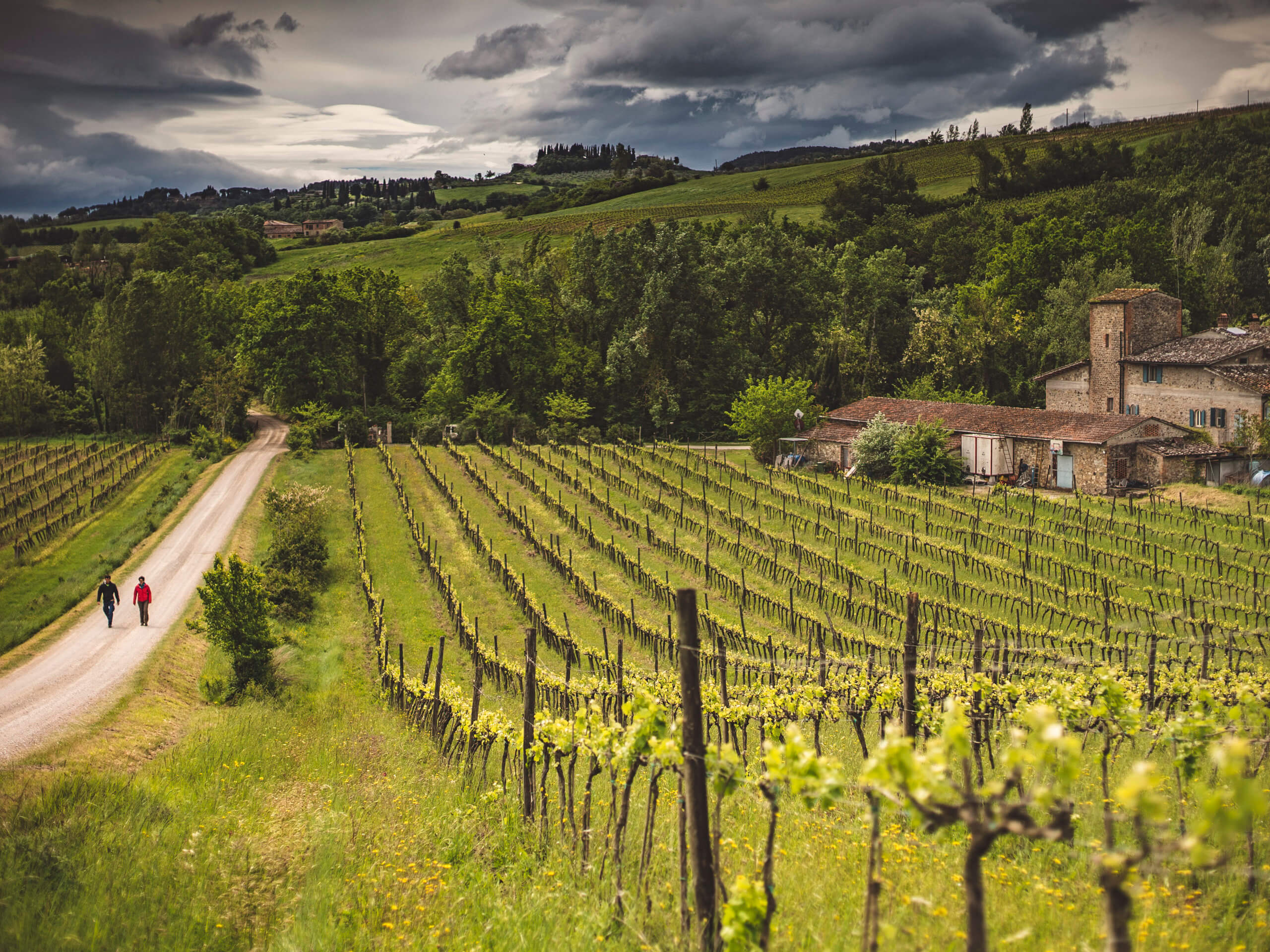 The Heart of Via Francigena-2