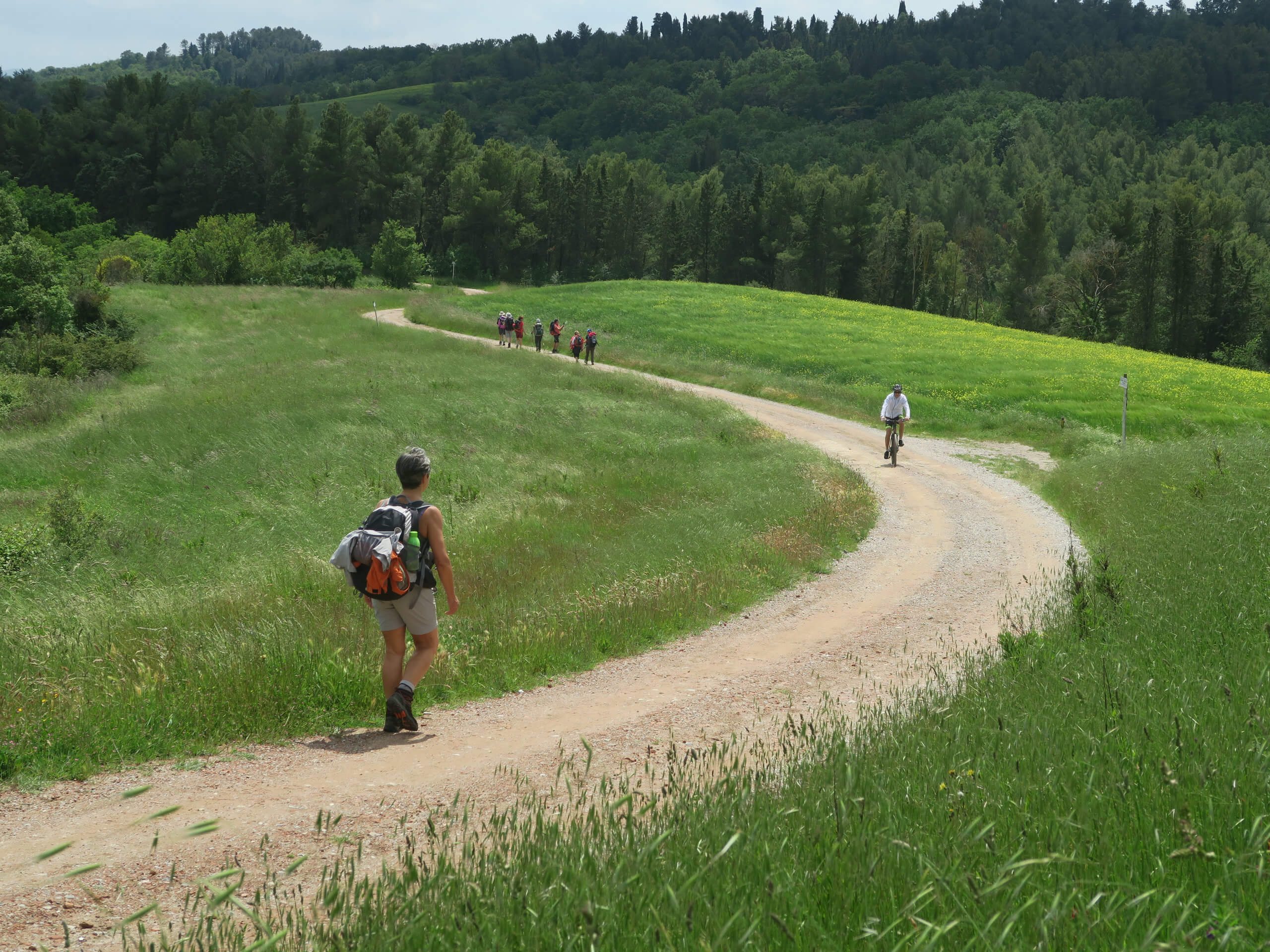 The Heart of Via Francigena-21