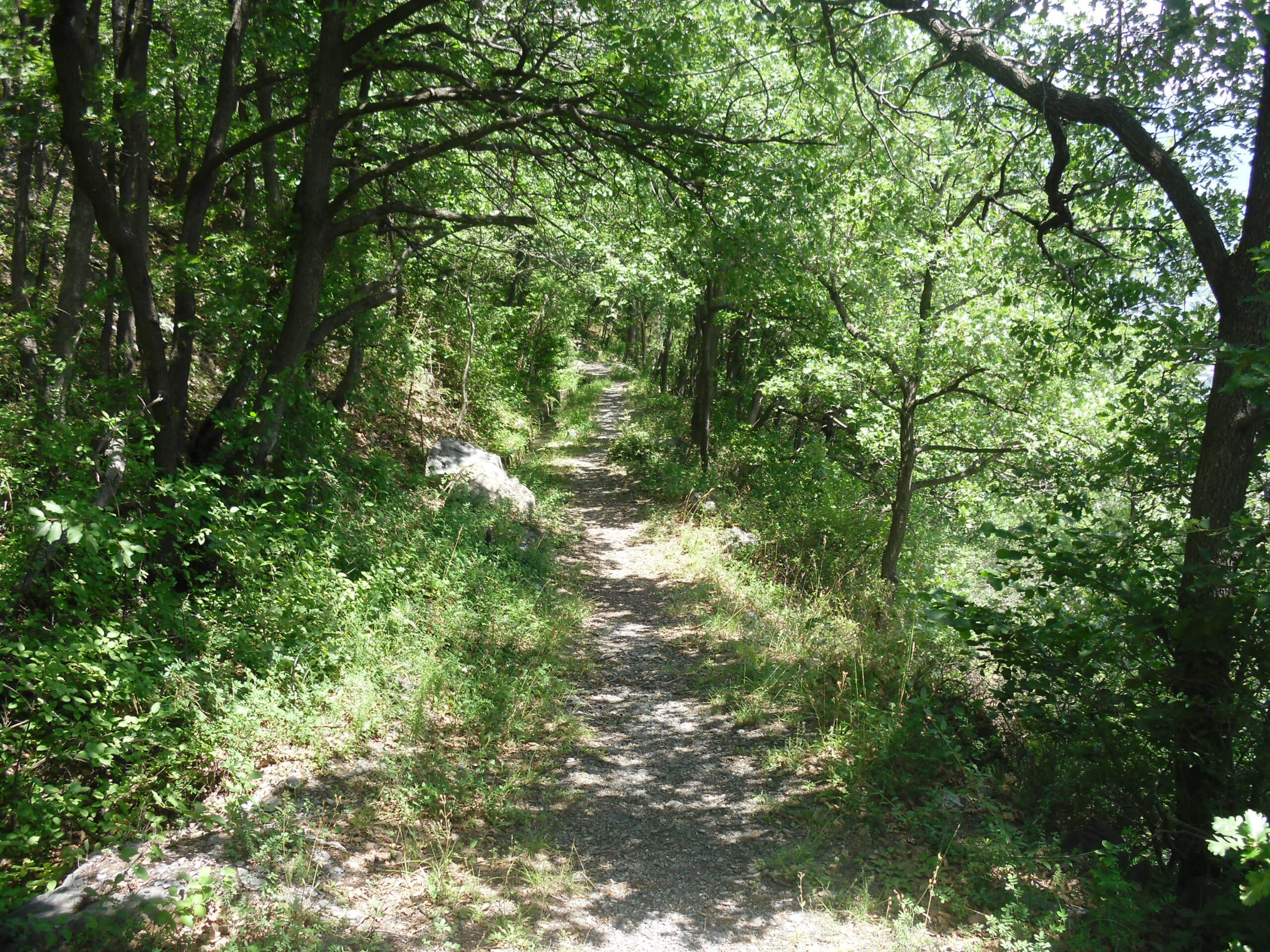 Via Francigena 1 Saint Bernard Pass to Ivrea-11