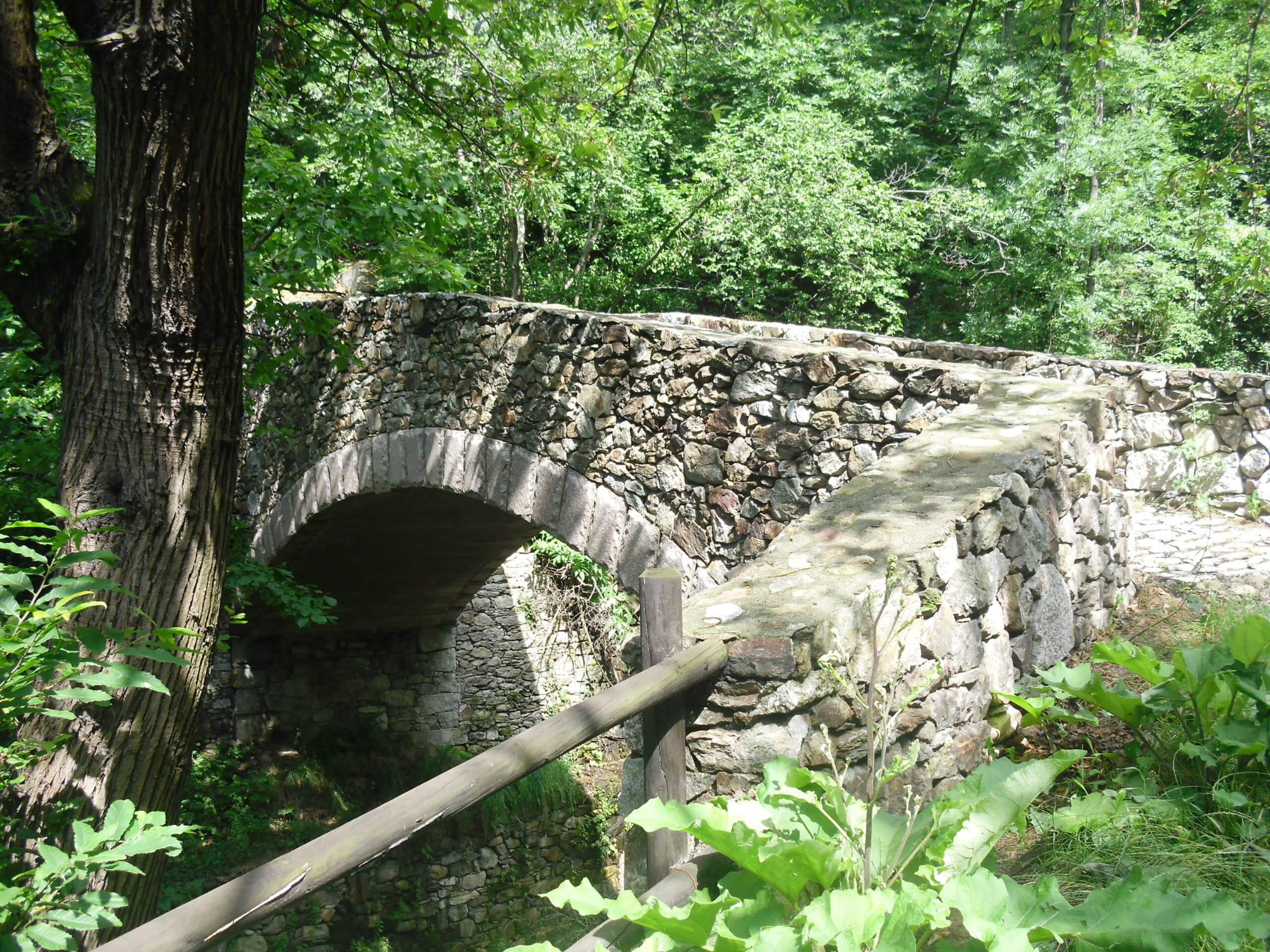 Via Francigena 1 Saint Bernard Pass to Ivrea-17