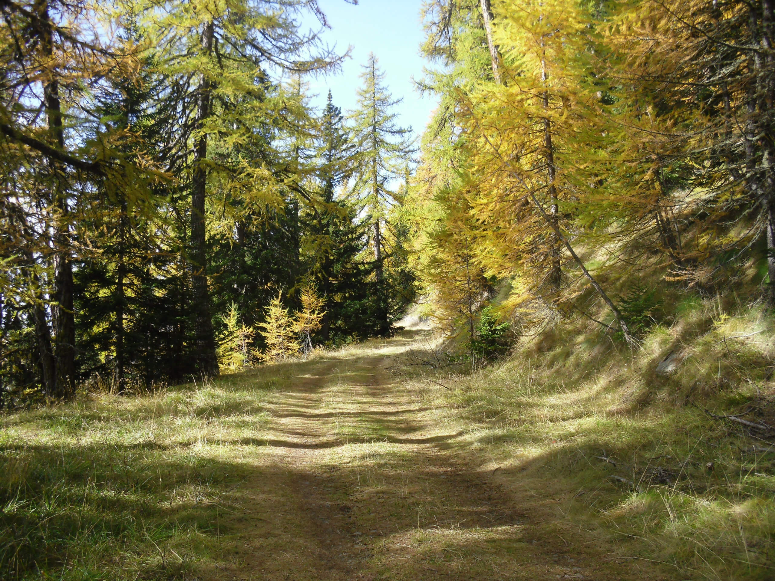 Via Francigena 1 Saint Bernard Pass to Ivrea-18