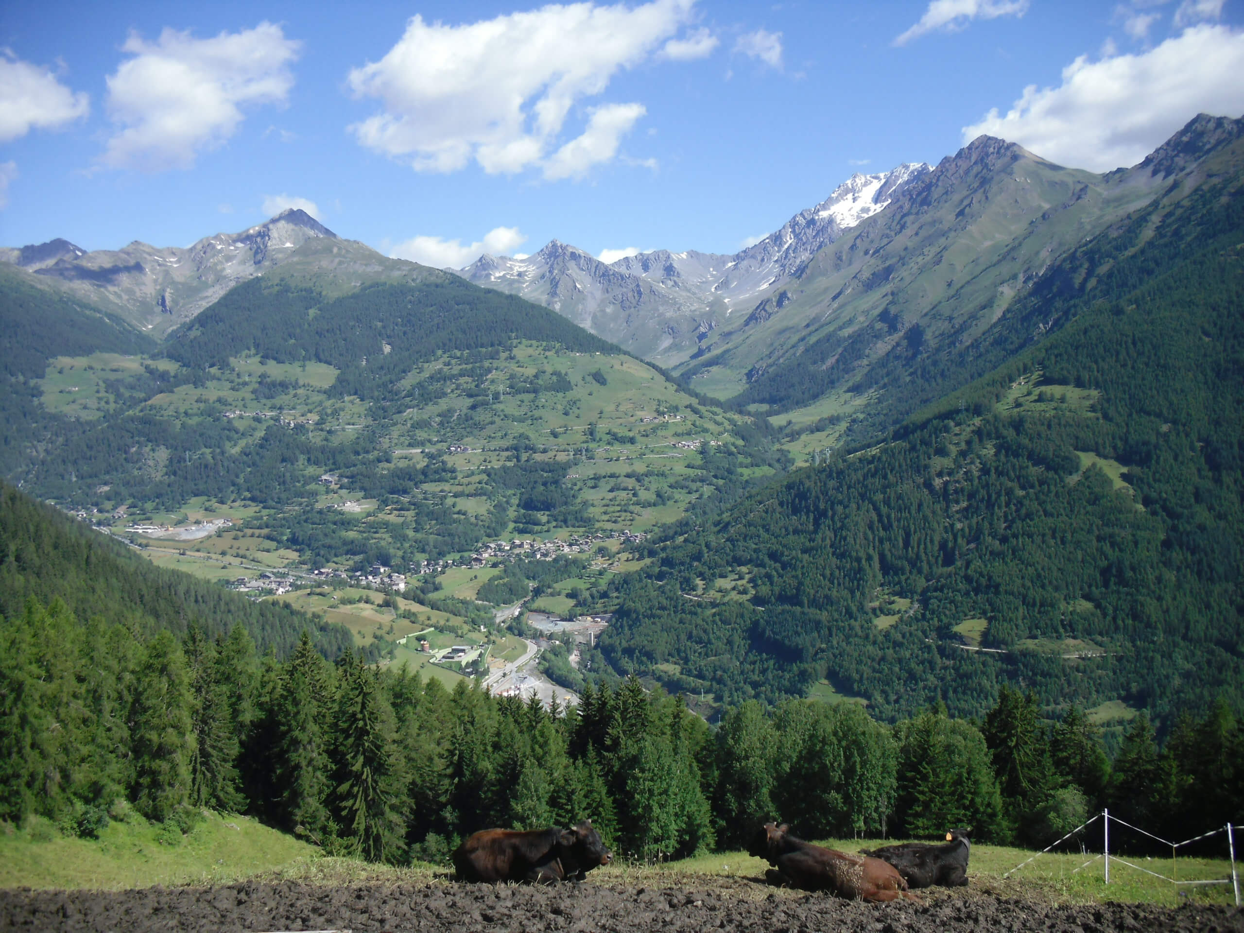 Via Francigena 1 Saint Bernard Pass to Ivrea-2