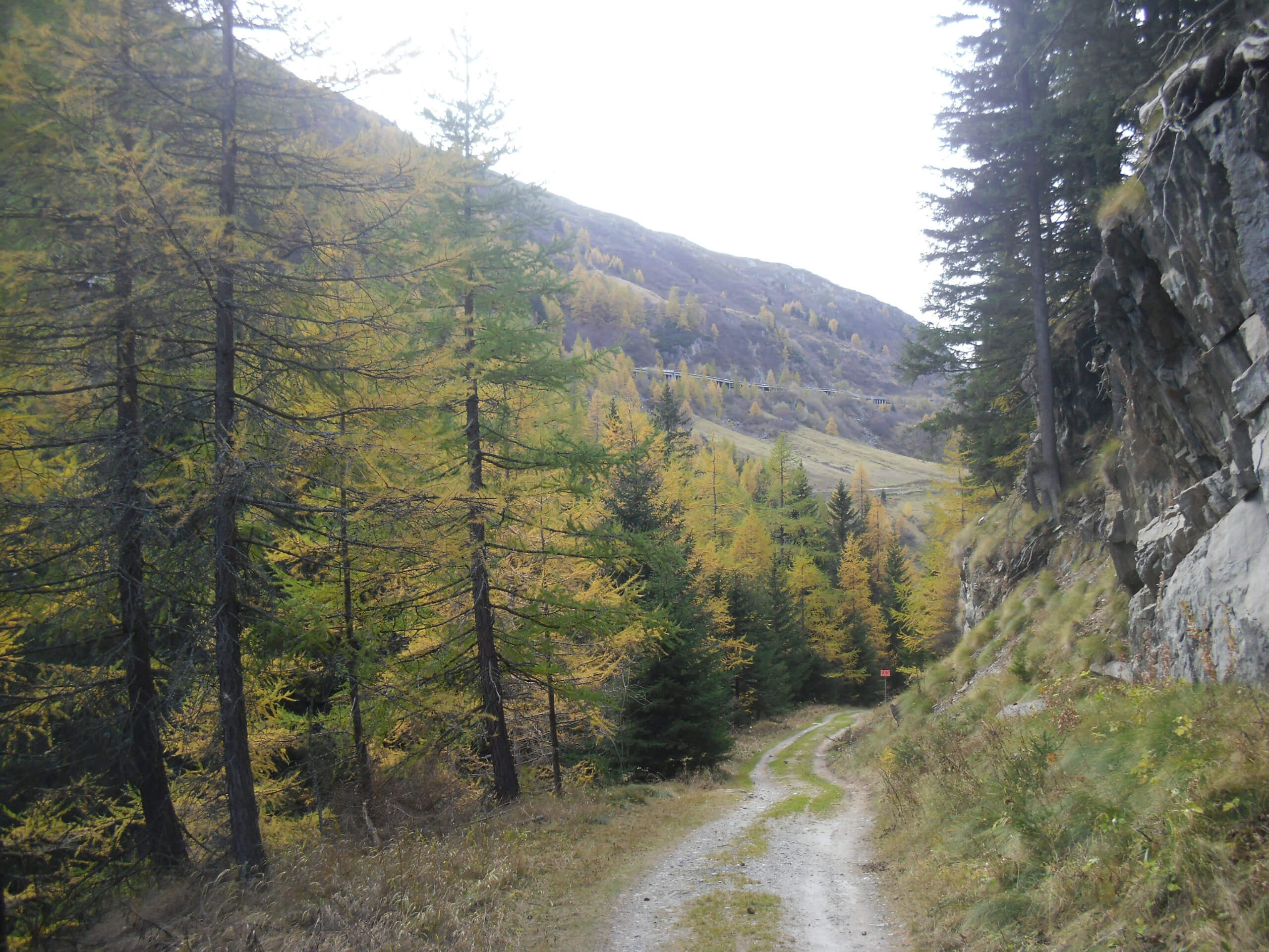 Via Francigena 1 Saint Bernard Pass to Ivrea-7