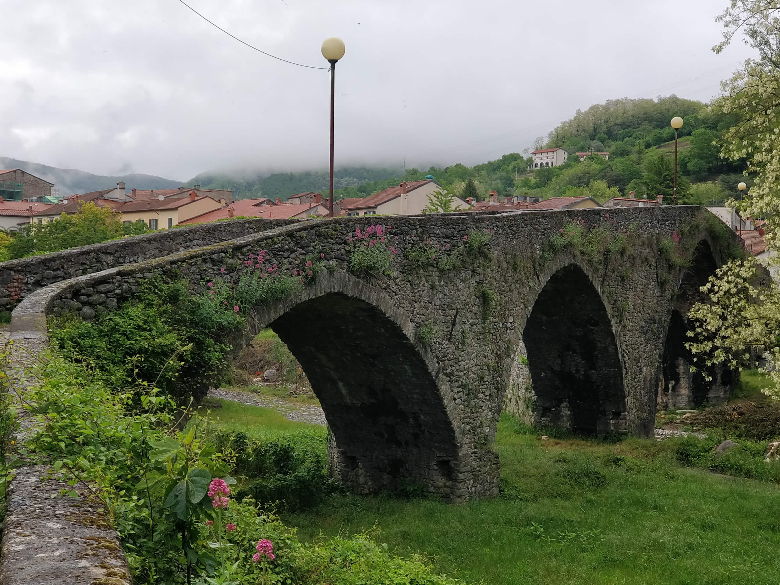 Via Francigena 4 Fidenza to Pontremoli-4