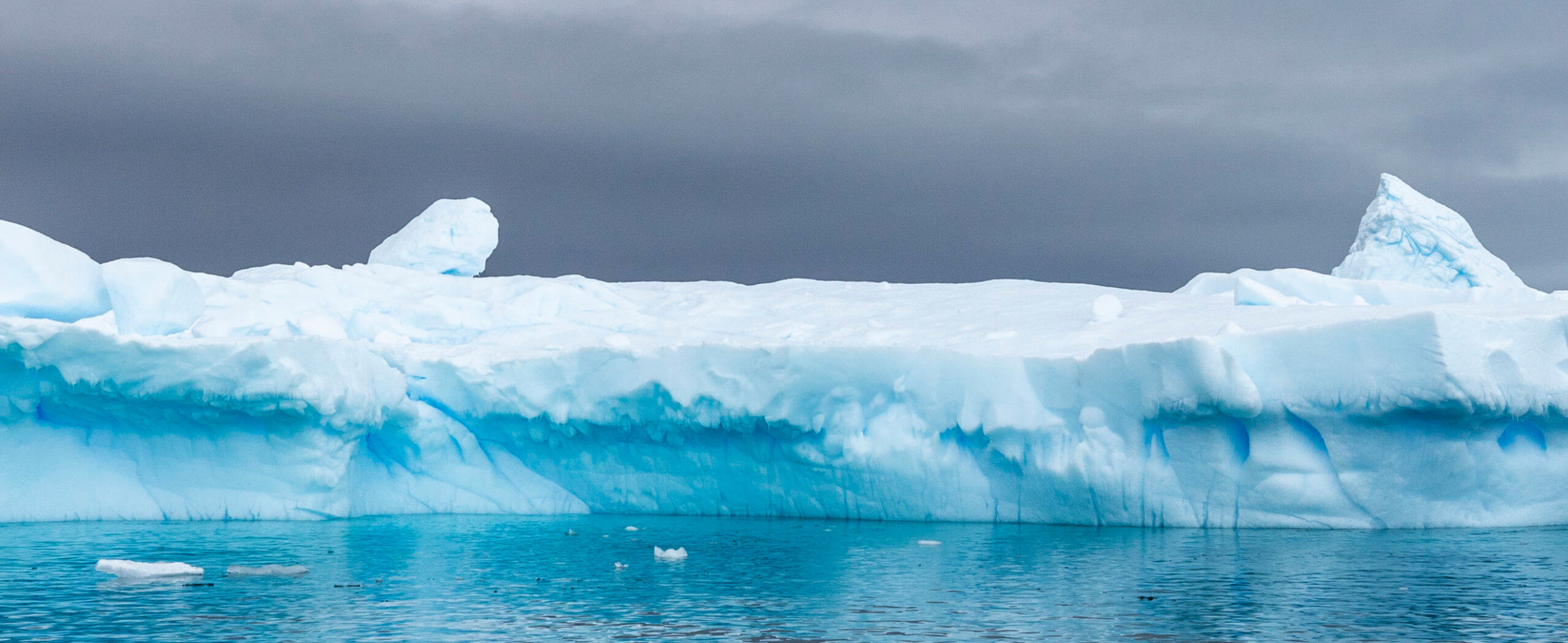 South Georgia, Falklands & Antarctic Odyssey