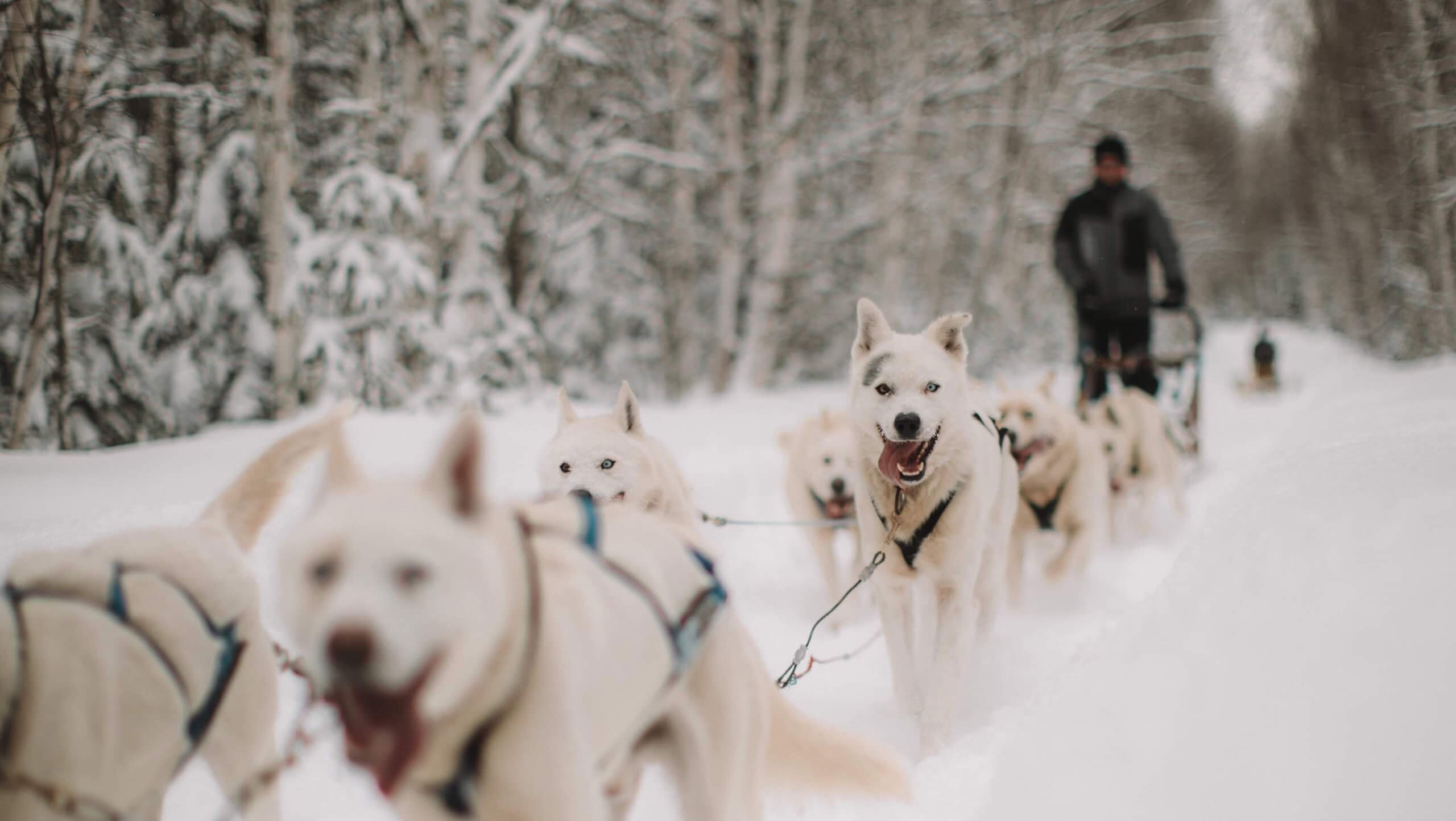 3-Day Winter Adventure in Laurentians