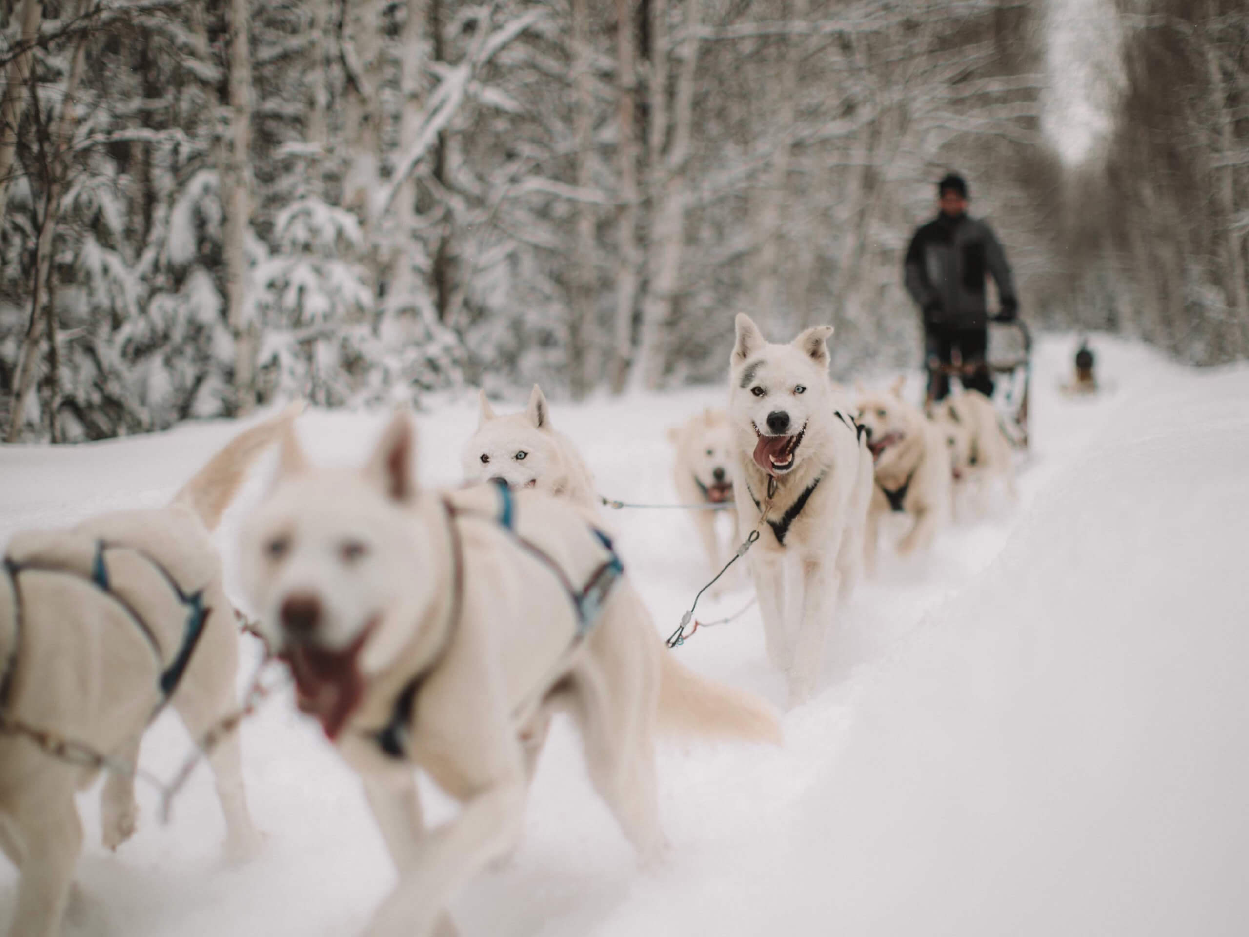 3-Day Winter Adventure in Laurentians