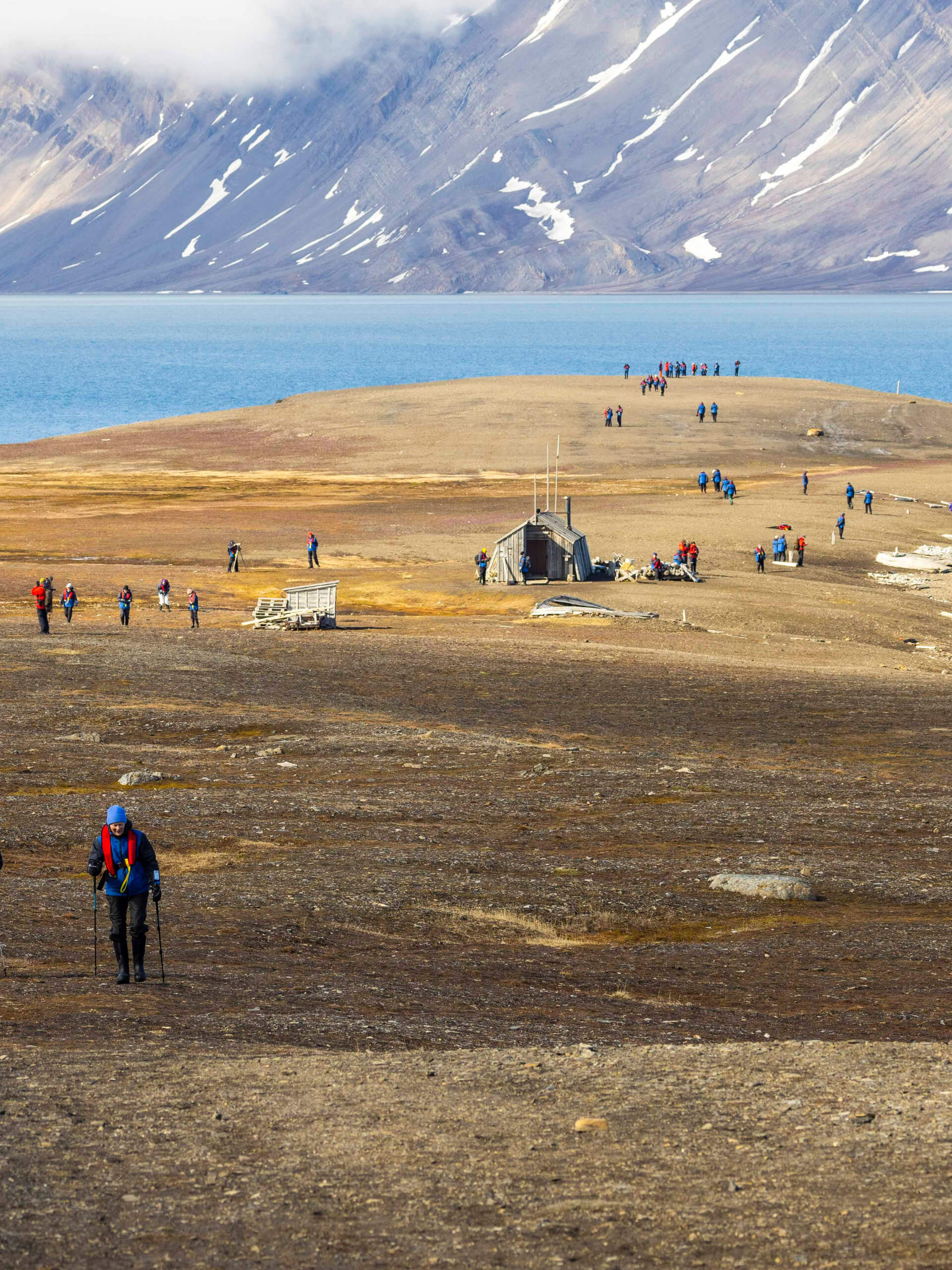 Bamsebu, Svalbard