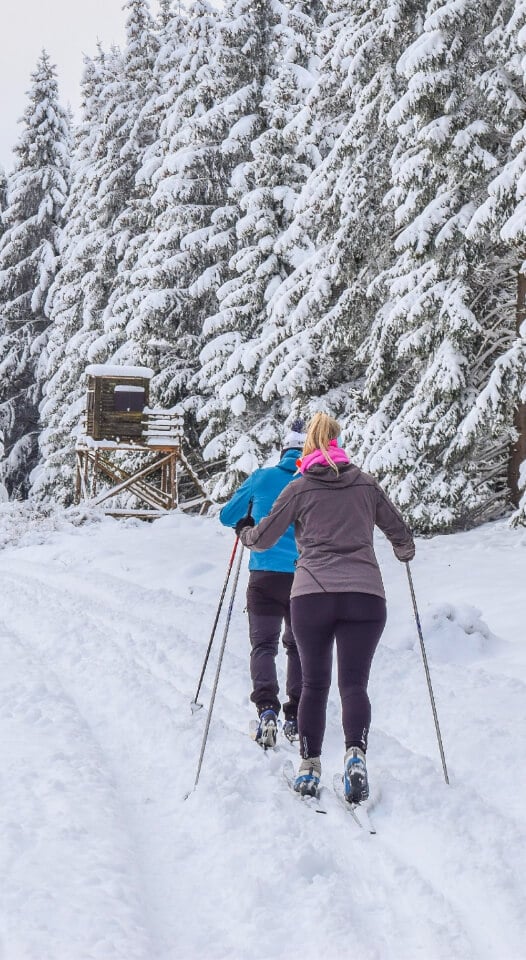 Cross-Country Skiing