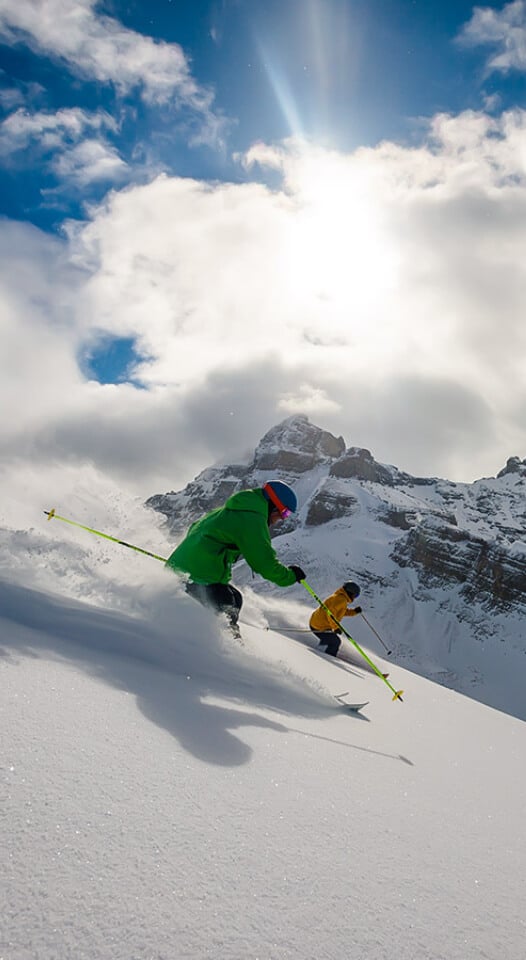 Downhill Ski