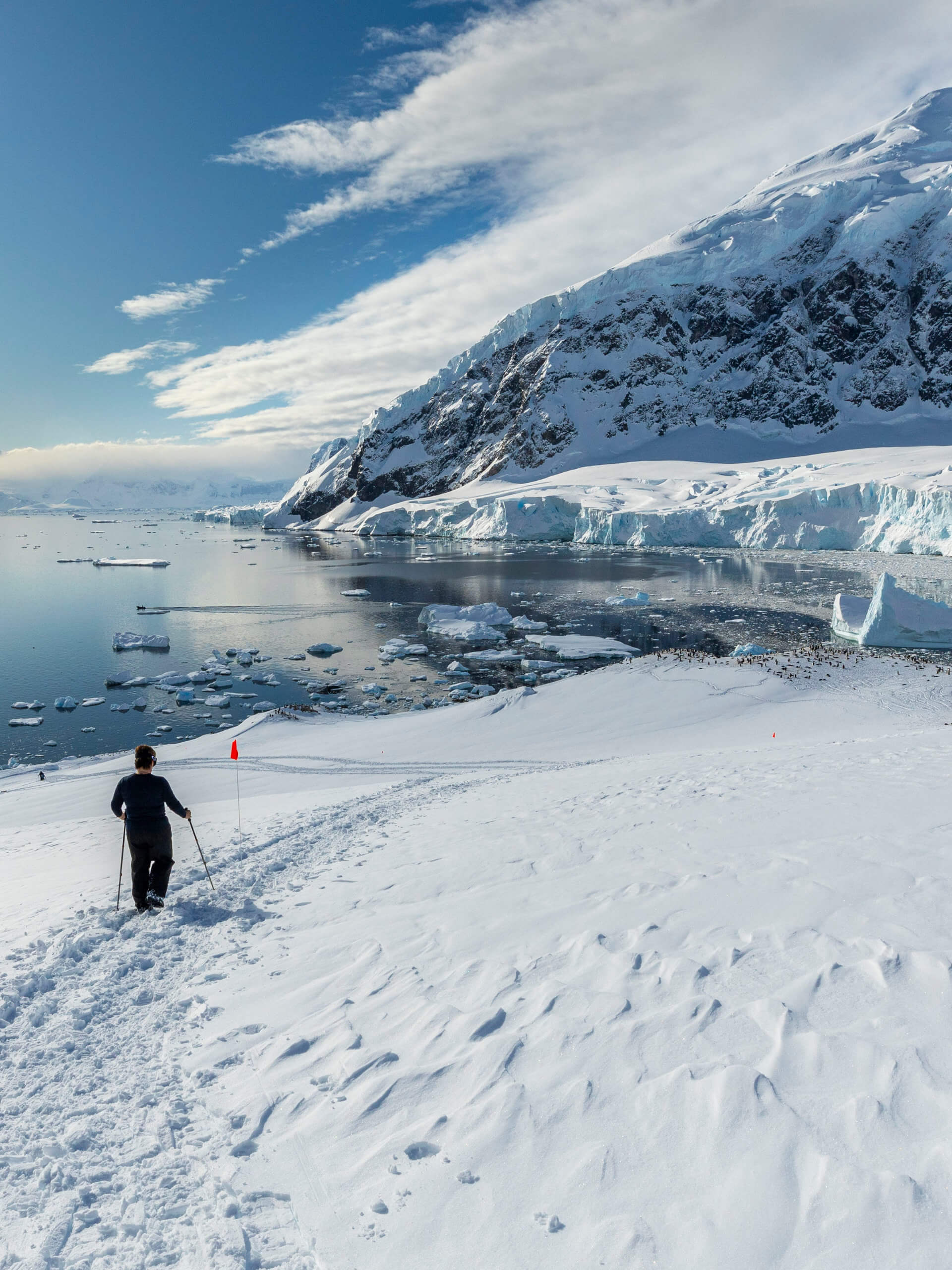 Passenger, Neko Harbour, Antarctica