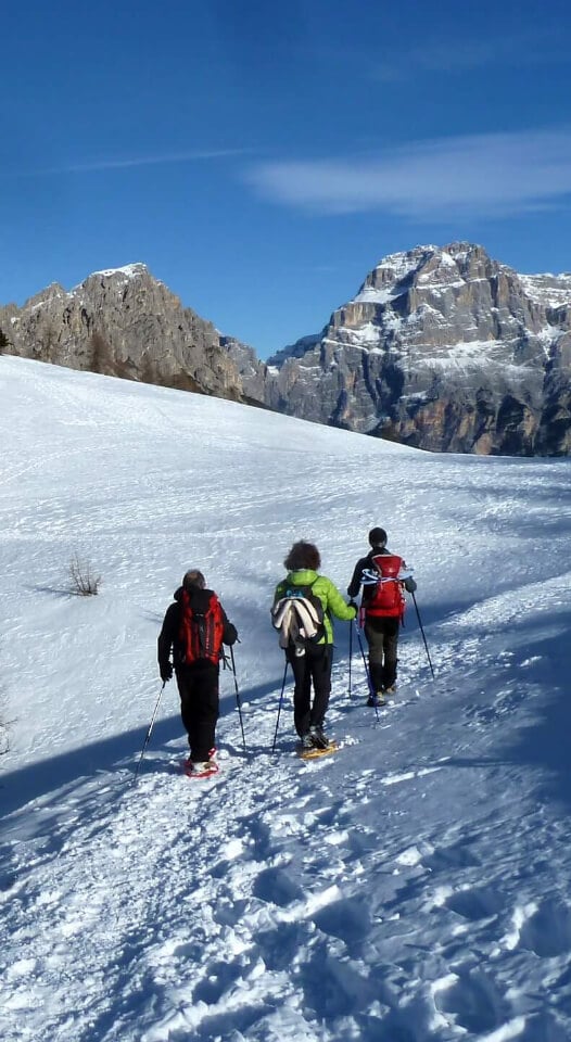 Snowshoeing