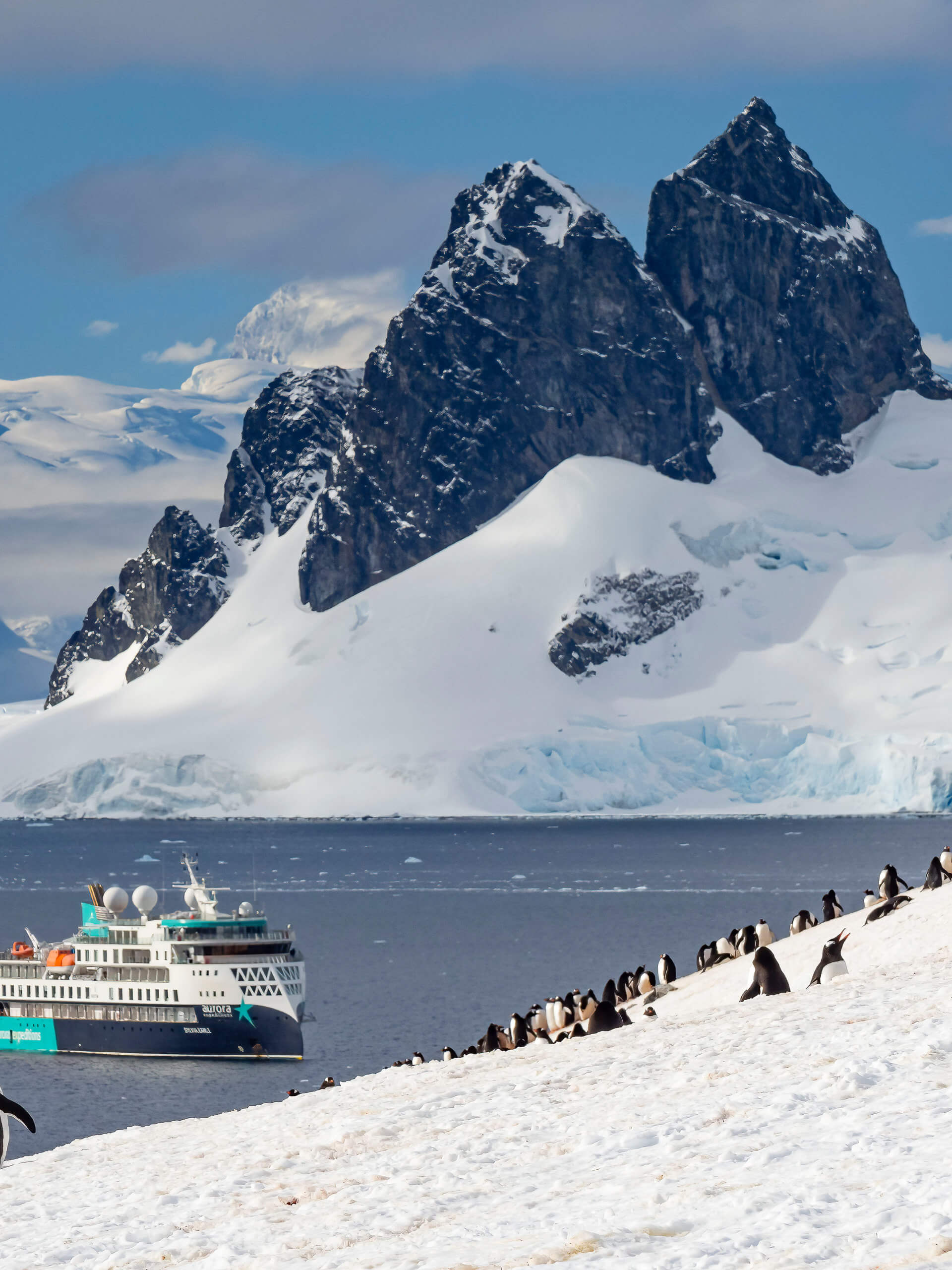 Sylvia Earle, Danco Island, Antarctica