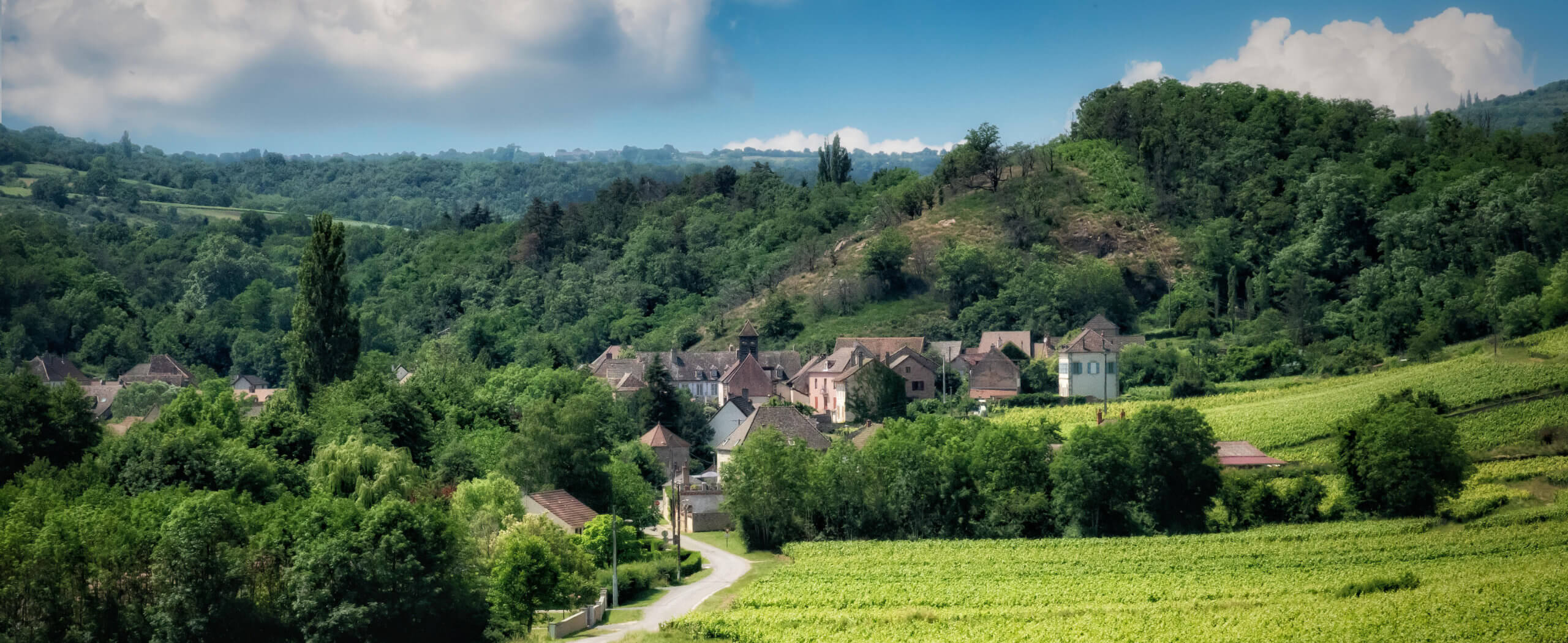 Burgundy & Provence Wine Tour-1