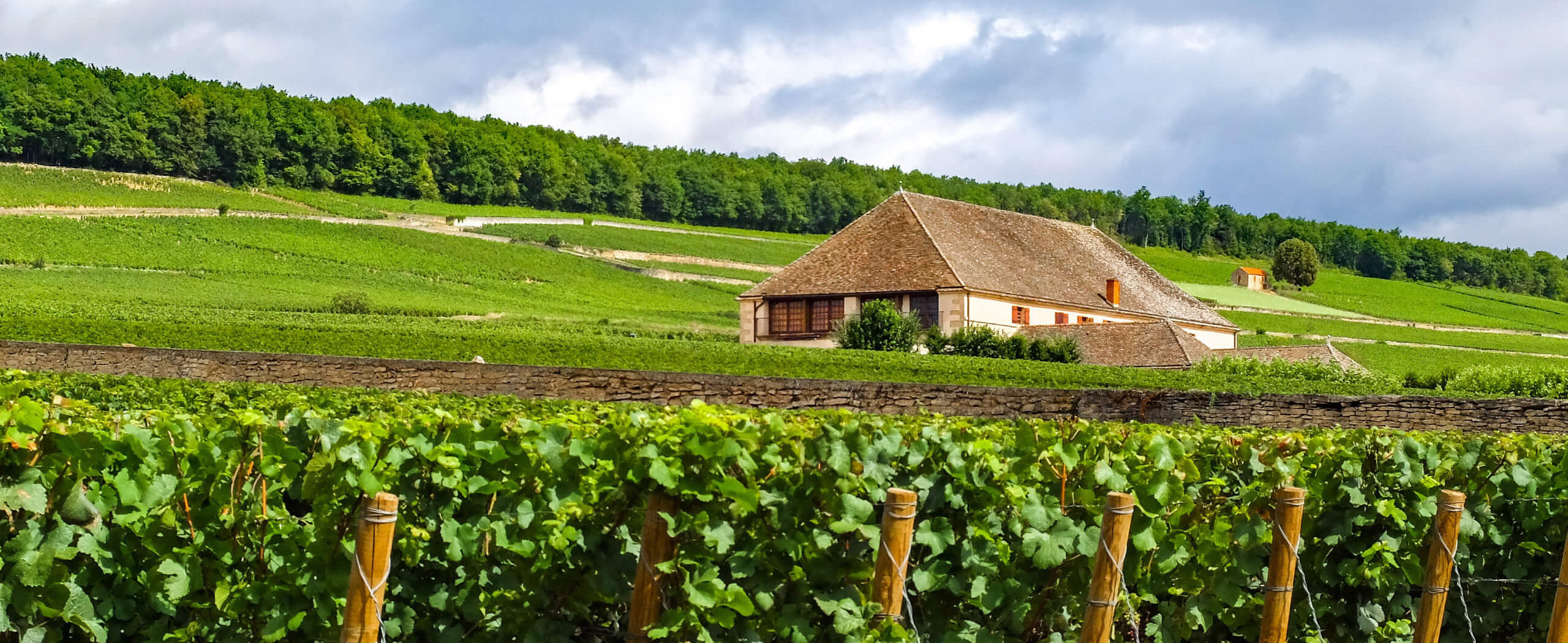 Burgundy Vineyards & Trails: Self-Guided Wine & Hiking Tour