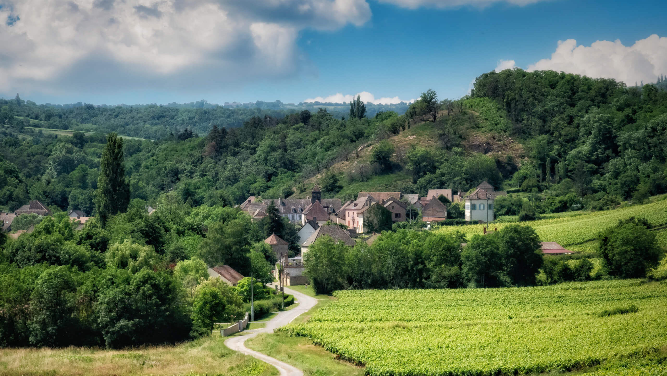 Burgundy Vineyards & Trails: Self-Guided Wine & Hiking Tour