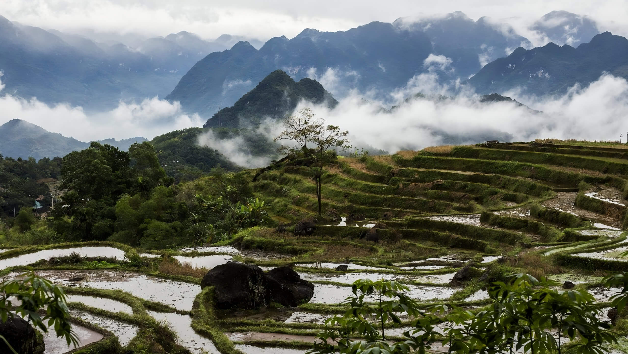 Soft Hiking Adventure in Northern Vietnam