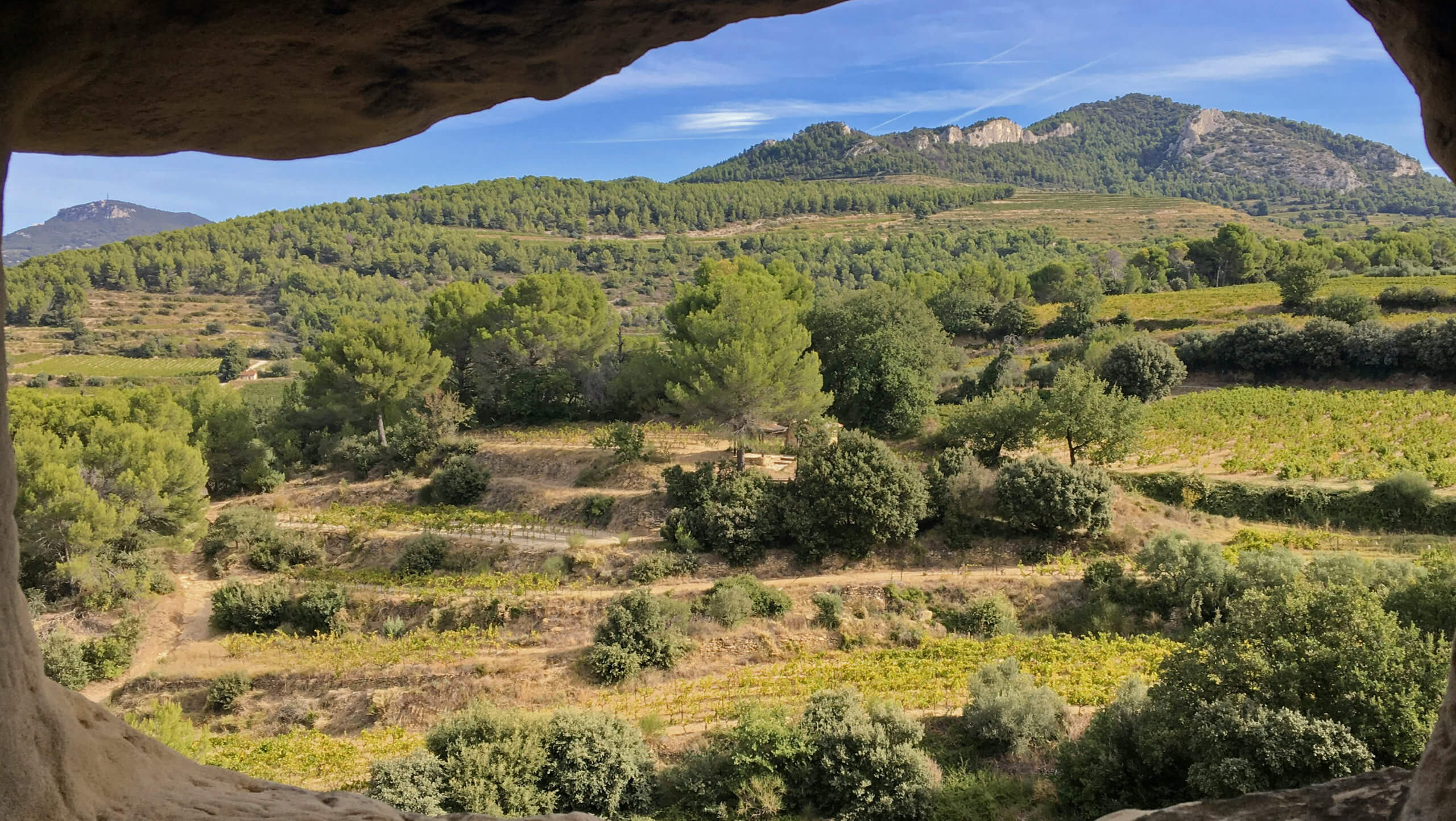 Wine Trails of Provence Tour