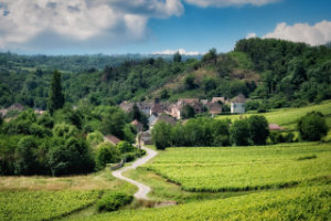 Burgundy Vineyards & Trails: Self-Guided Wine & Hiking Tour