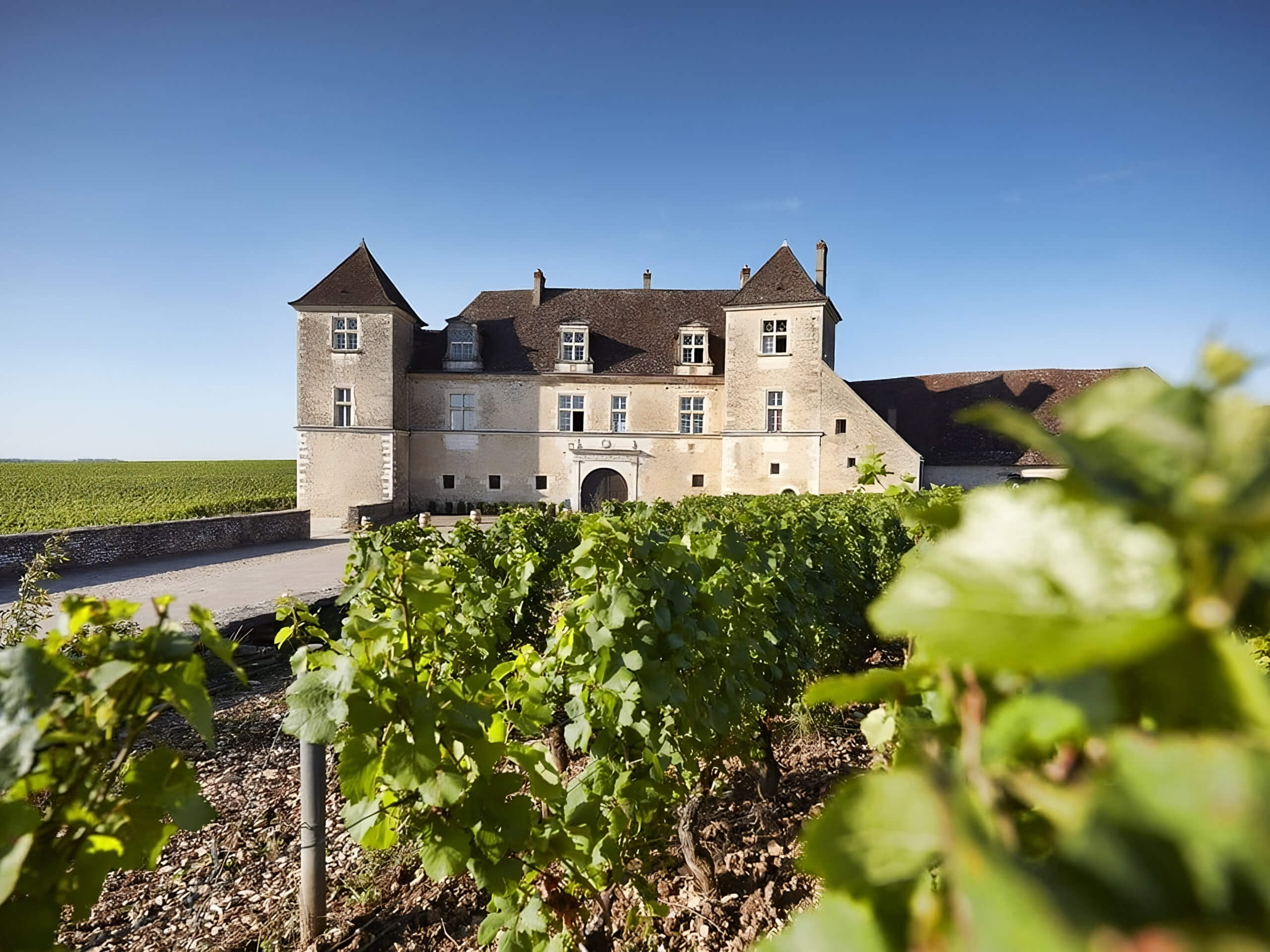 Burgundy & Provence Wine Tour-3