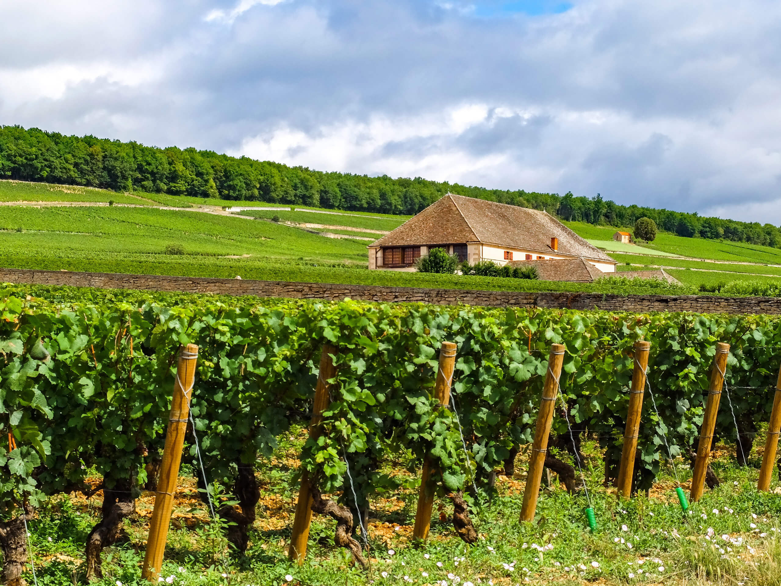 Burgundy & Provence Wine Tour-8