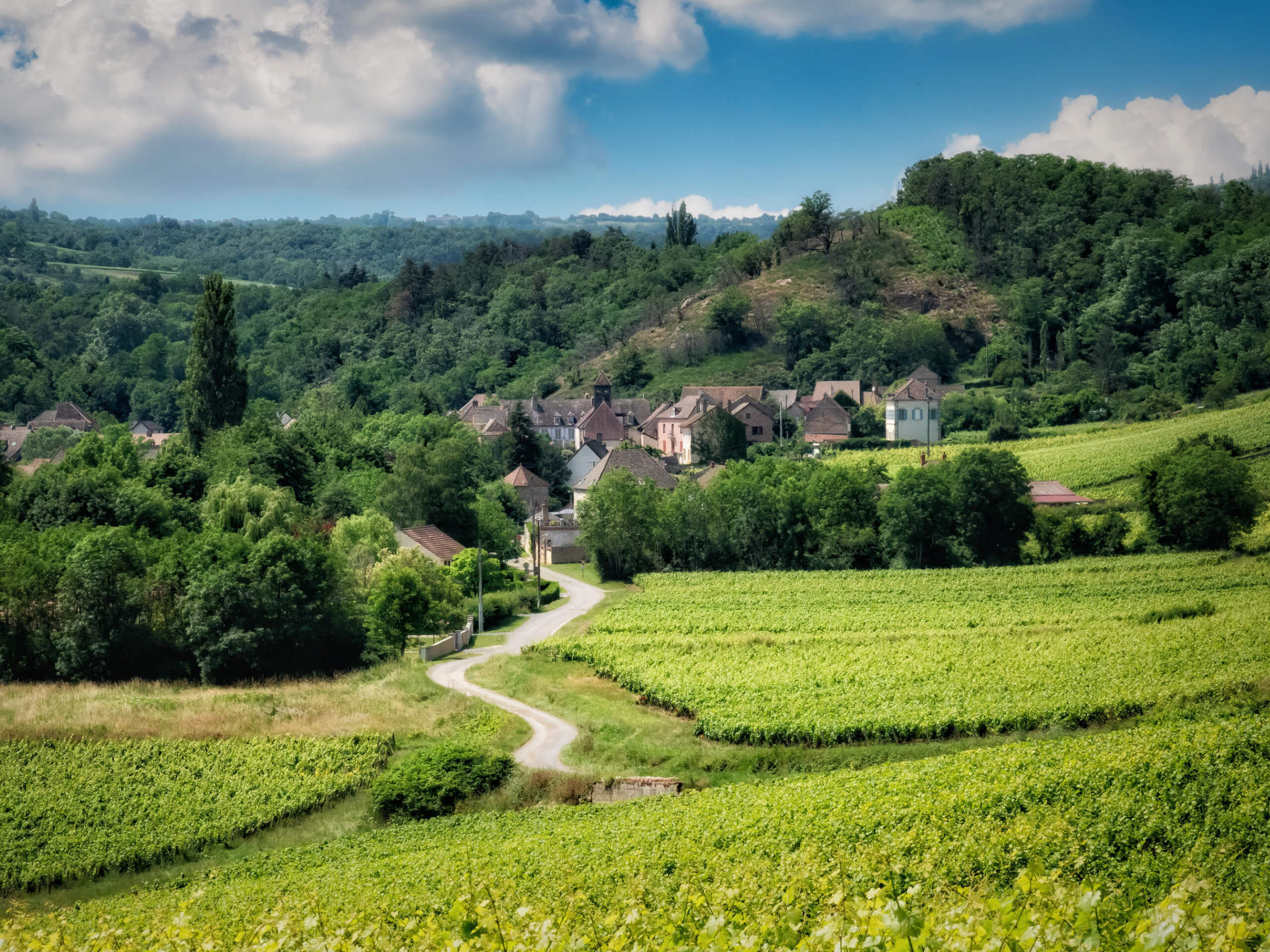 Burgundy Vineyards & Trails: Self-Guided Wine & Hiking Tour-9