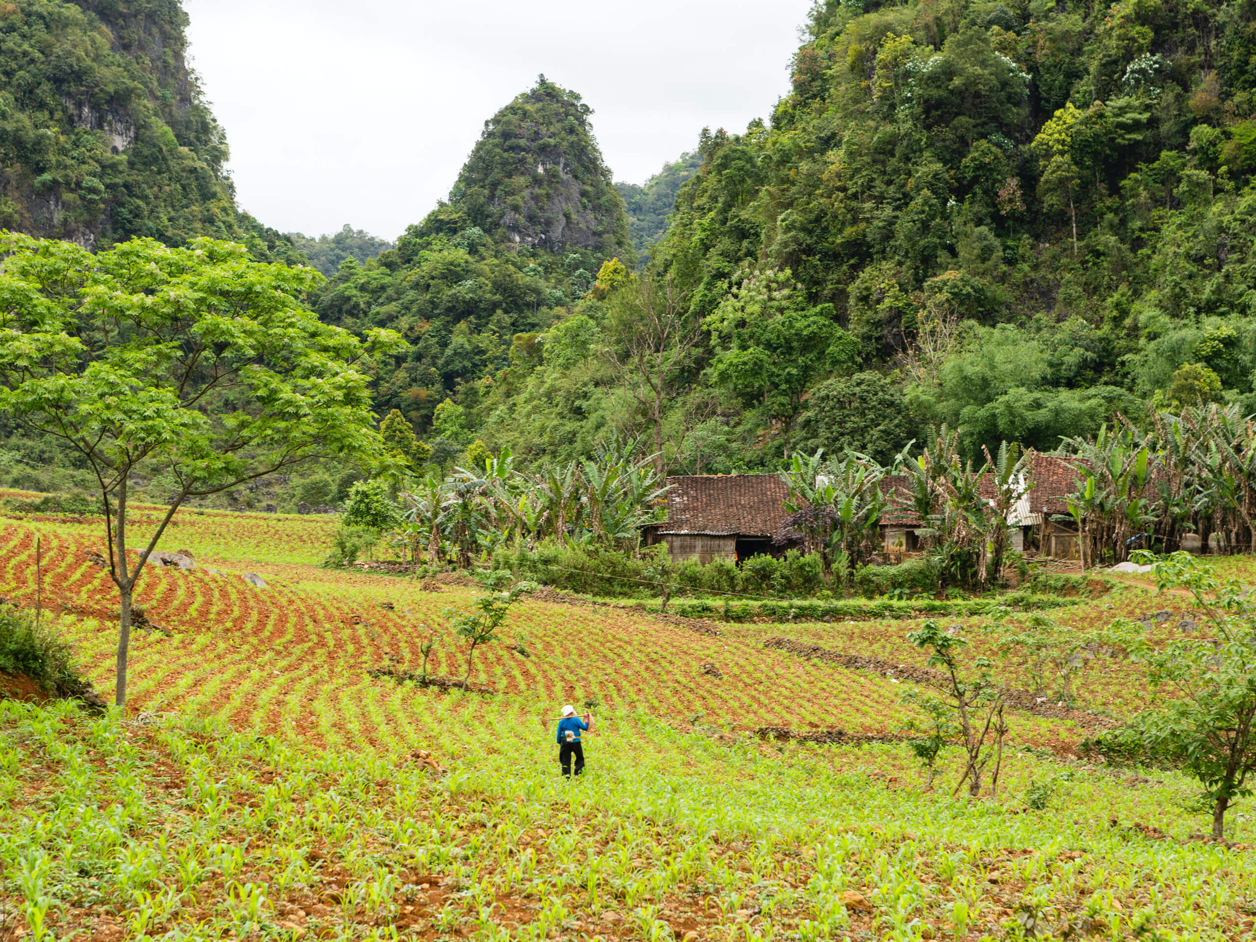 Sapa Hiking Adventure Enchanting Scenery & Culture-4